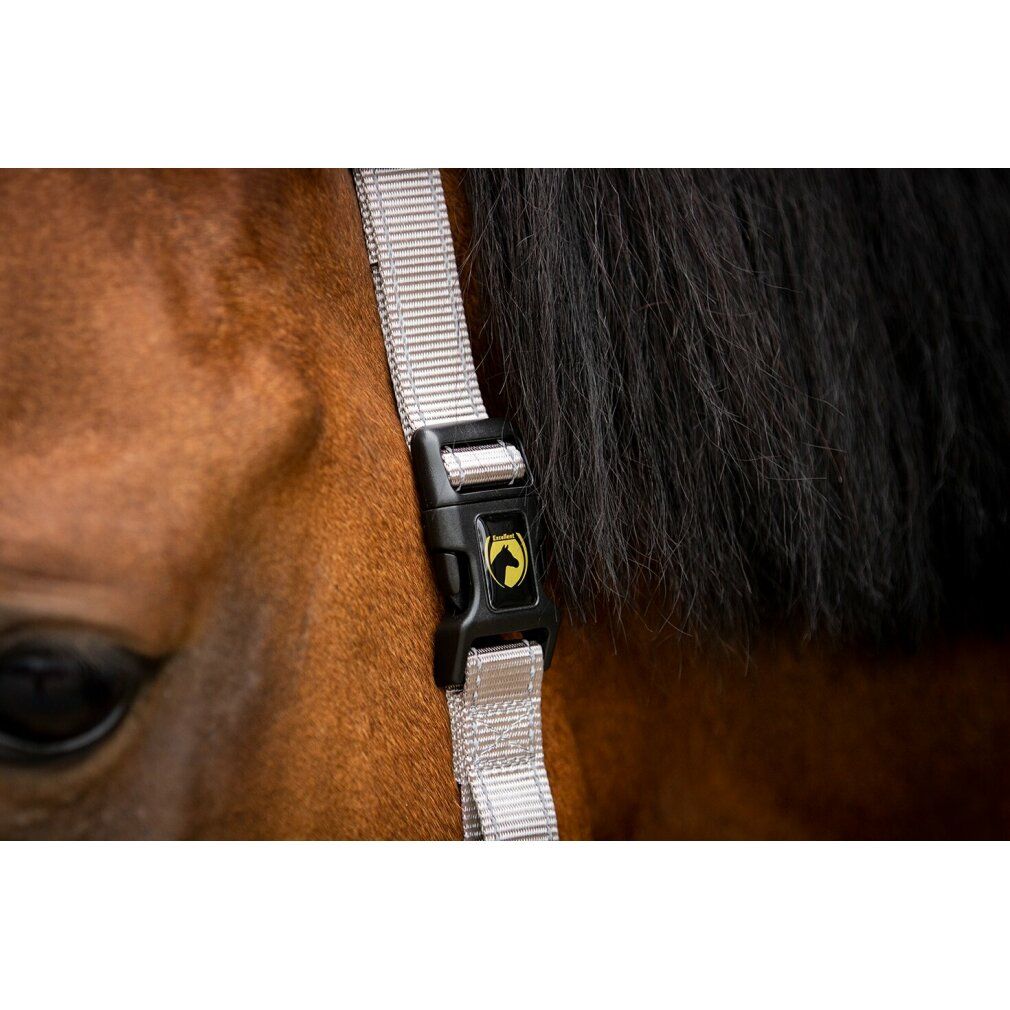 Cavezza grigia con chiusura nera sulla testa del cavallo. Logo giallo sulla chiusura. Primo piano.