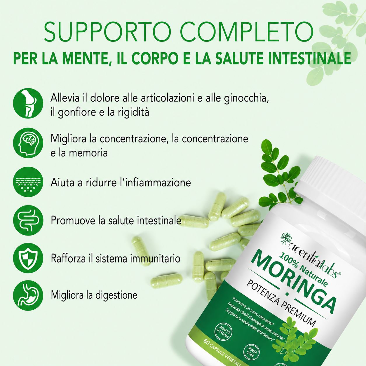 Capsule Zoxpm Moringa: Flacone accanto a un elenco di benefici come il sollievo dal dolore articolare e il miglioramento della digestione.