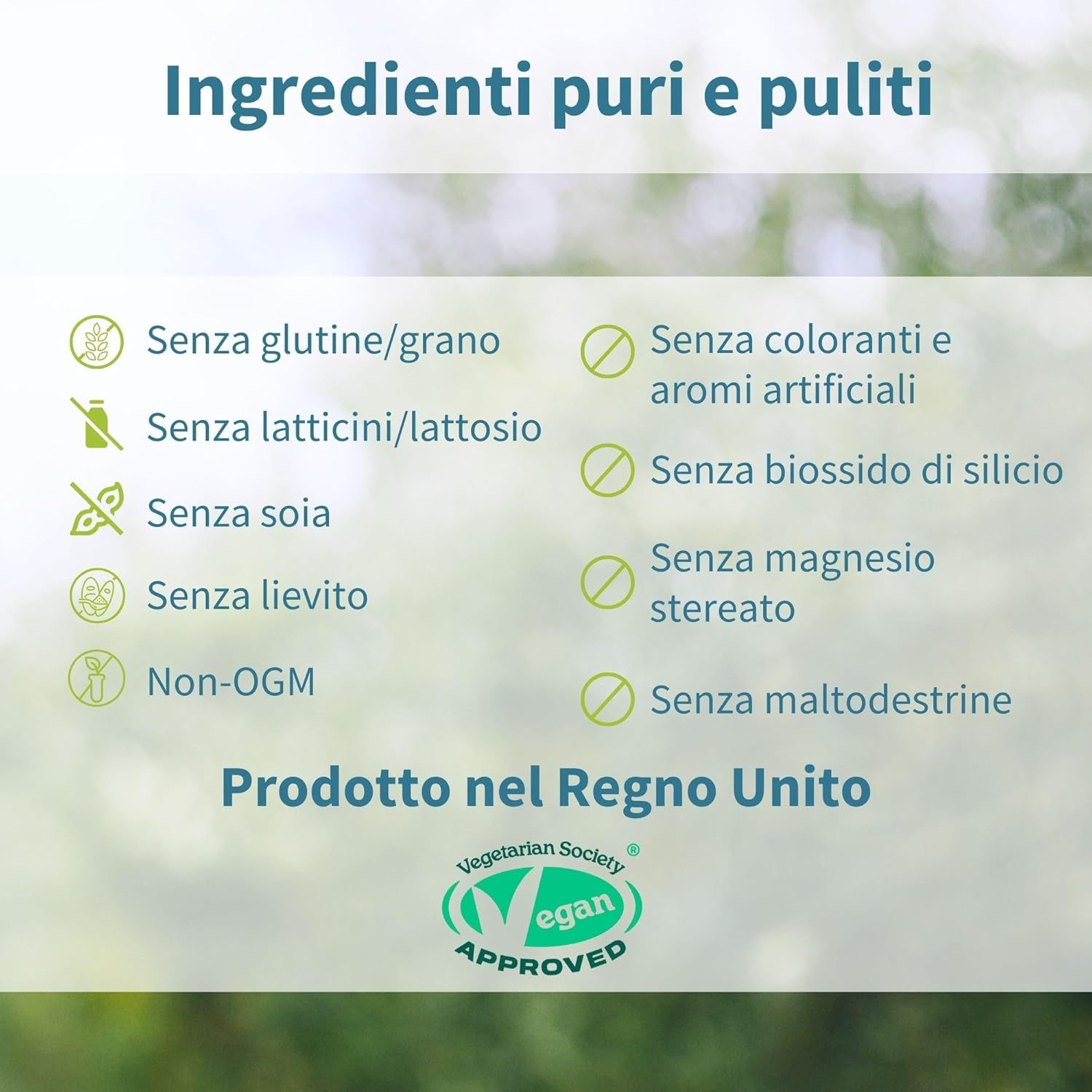 Infografica: Senza glutine, lattosio, soia, lievito, OGM. Senza coloranti e aromi artificiali. Sigillo vegano.