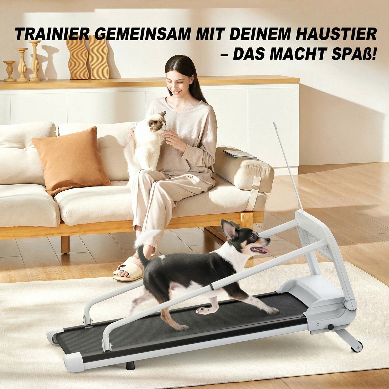 Tapis roulant per cani con donna e cane. Struttura bianca, superficie nera. Donna seduta sul divano con un gatto.