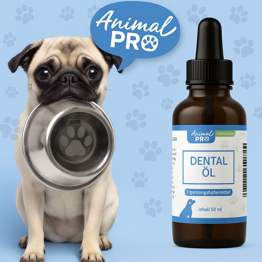 Flacone di vetro marrone con contagocce nero. Etichetta "Animal Pro" e "Dental Öl". Carlino con ciotola.