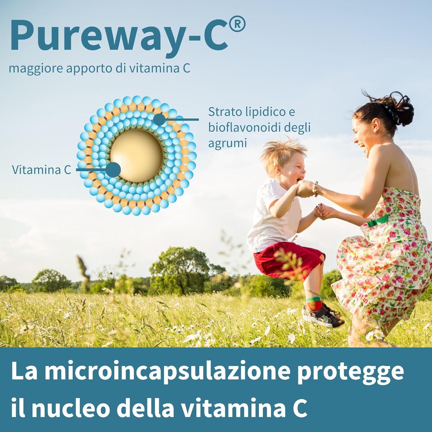 Rappresentazione grafica di Pureway-C. Un bambino e una donna giocano in un campo. Testo: La micro-incapsulazione protegge il nucleo della vitamina C.