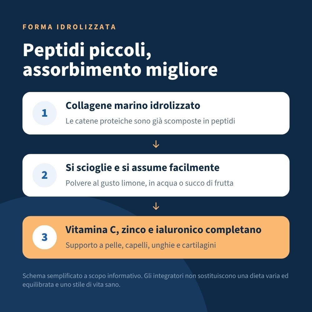 Schema dell'idrolisi del collagene marino in peptidi, con indicazioni sulla facile dissoluzione e integrazione con vitamina C, zinco e acido ialuronico.