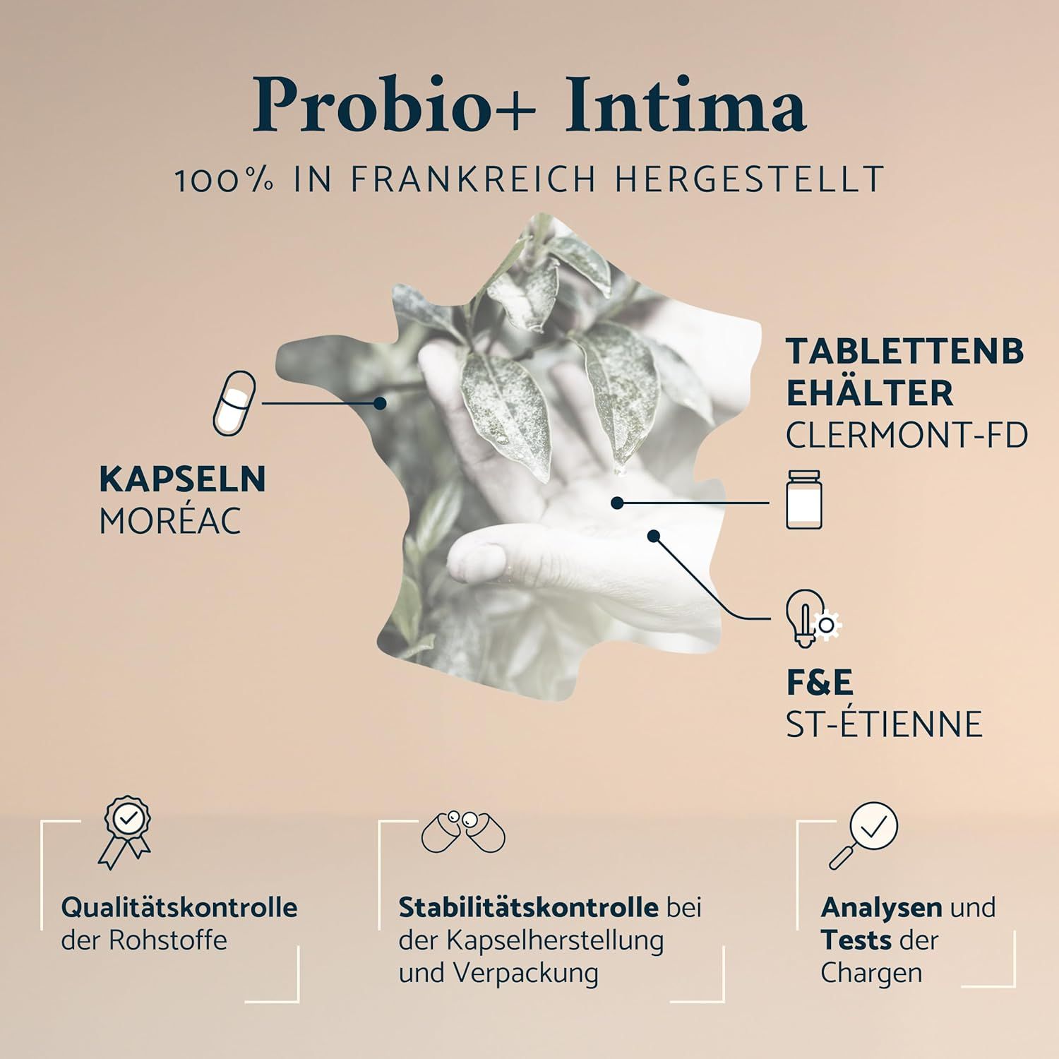 Apyforme Probio+ Intima Ceppi Batterici per Donne