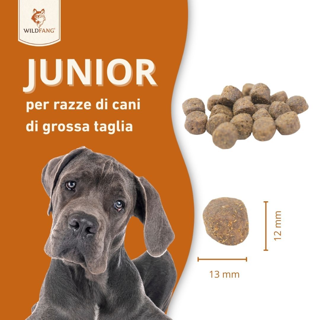 Wildfang - Junior Gourmet Box - Cibo secco e umido