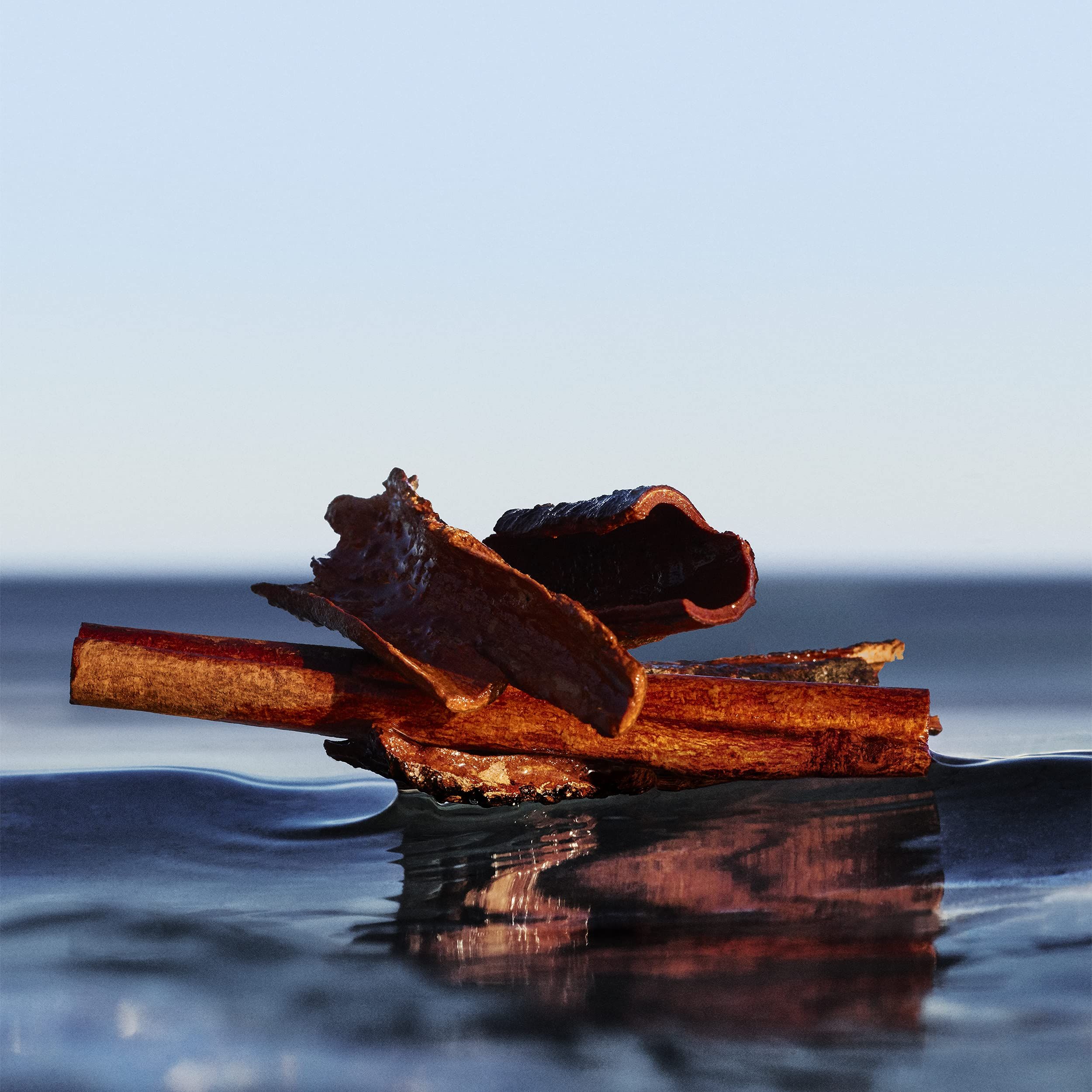 Bastoncini di cannella nell'acqua. Sfondo: mare e cielo.