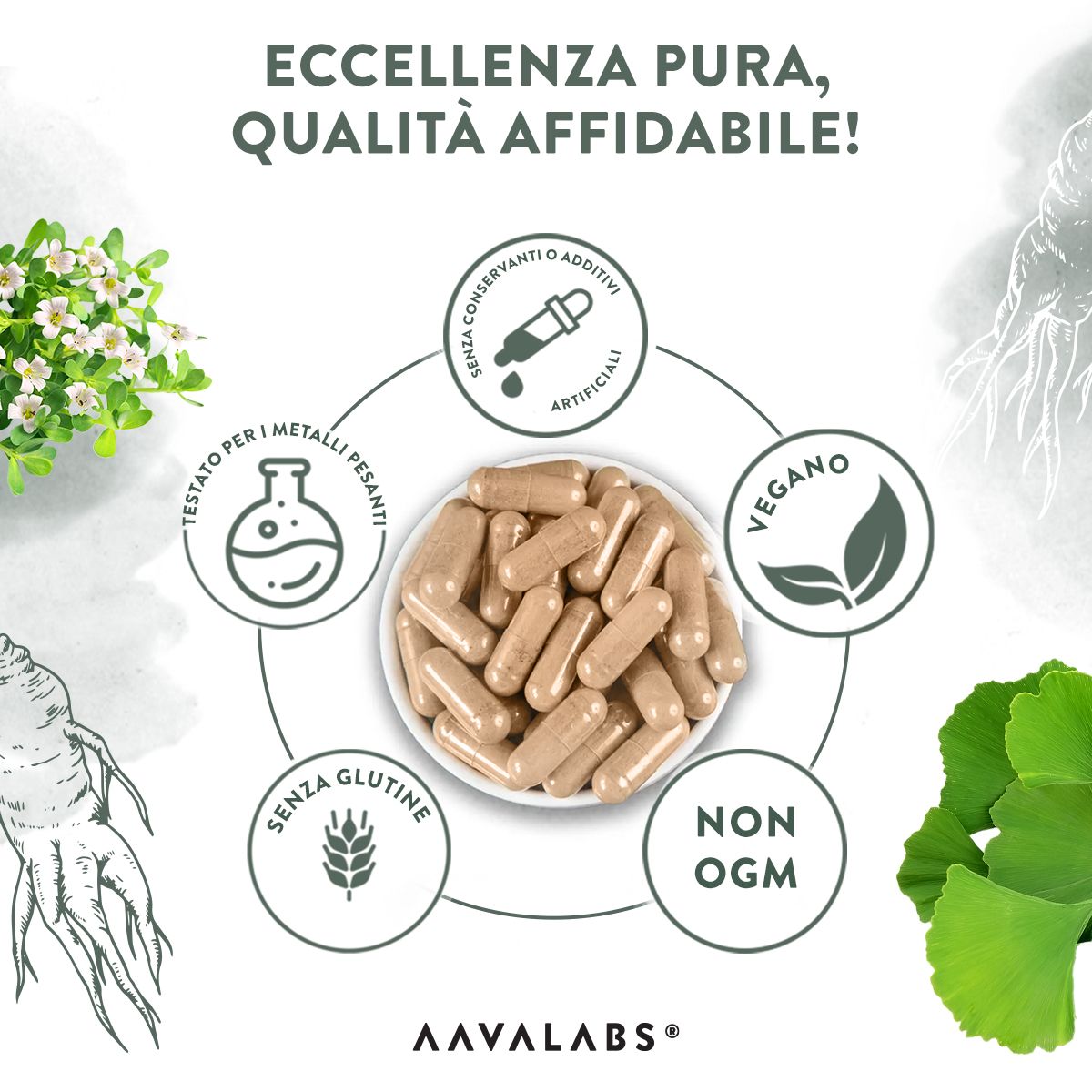 Capsule Aavalabs Ginkgo Biloba in una ciotola. Senza additivi, senza glutine, vegano, senza OGM. Testato.