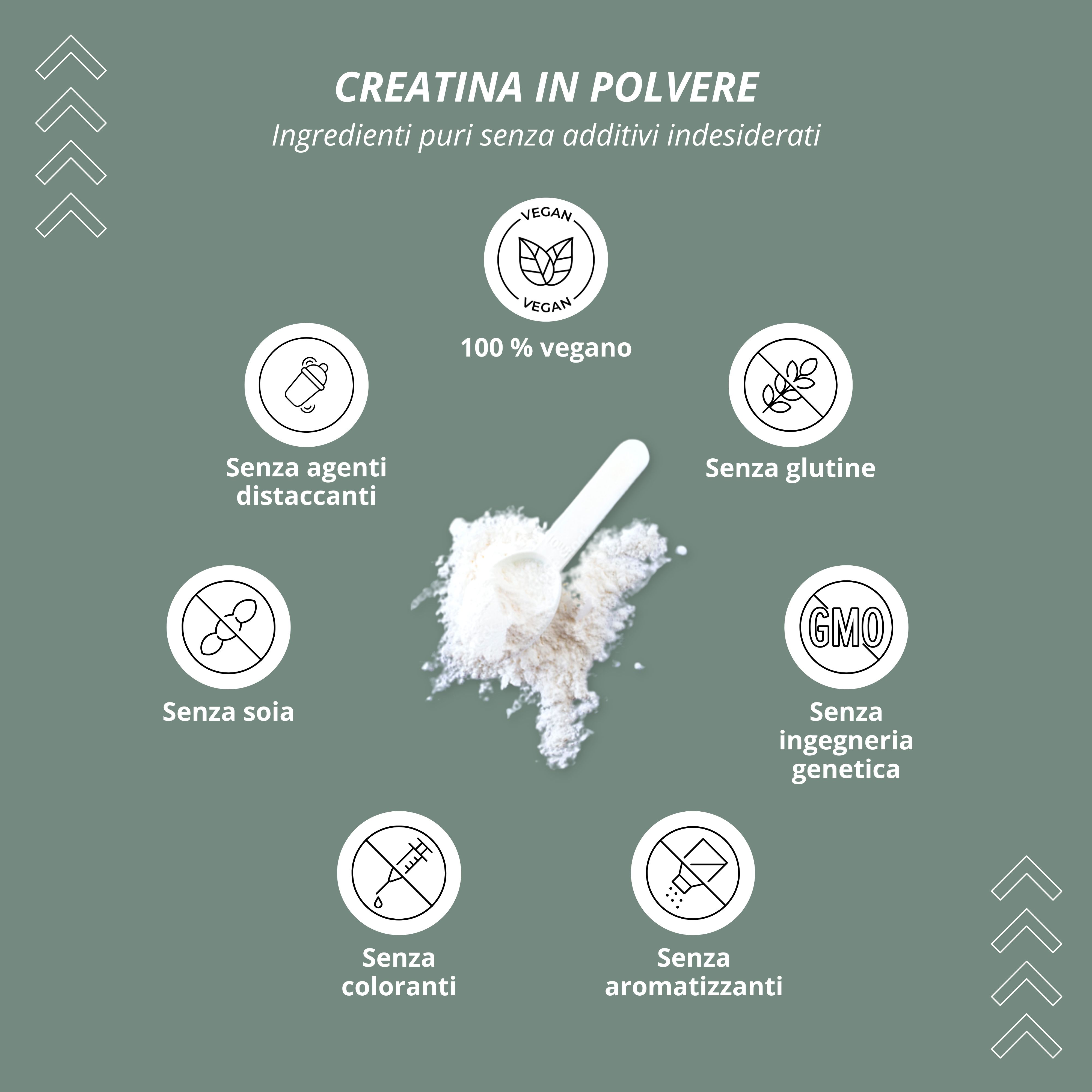 Diagramma circolare con simboli: Vegano, senza agenti distaccanti, soia, coloranti, aromi, glutine, OGM.