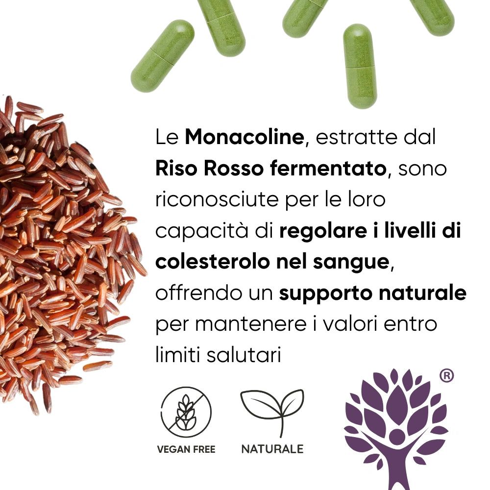 Capsule verdi e riso rosso. Testo sull'effetto sul colesterolo. Sigilli vegano e naturale.