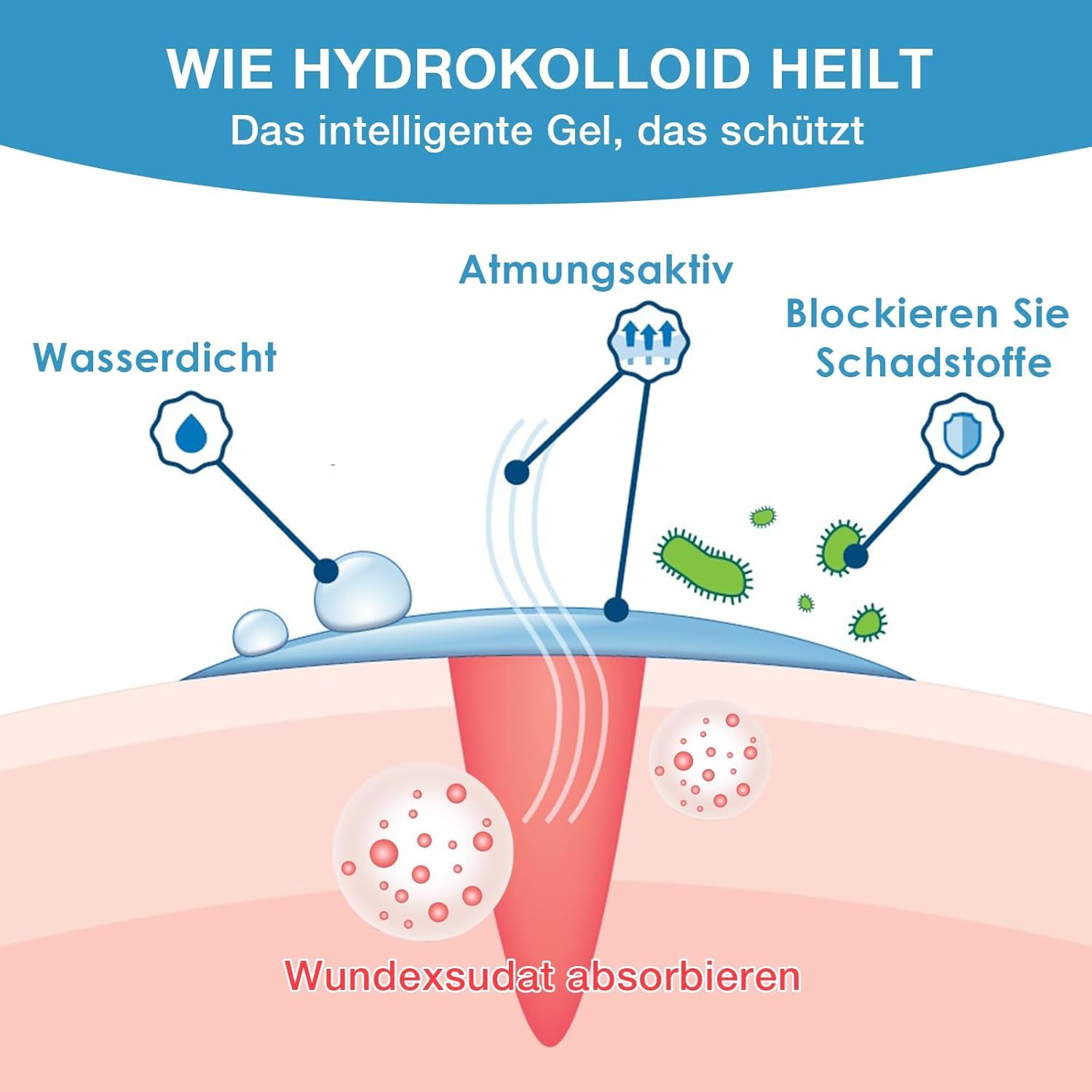 Diagramma: Come guarisce l'idrocolloide. Impermeabile, traspirante, blocca gli agenti inquinanti. Assorbe l'essudato della ferita. Rappresentazione di una ferita con gel.