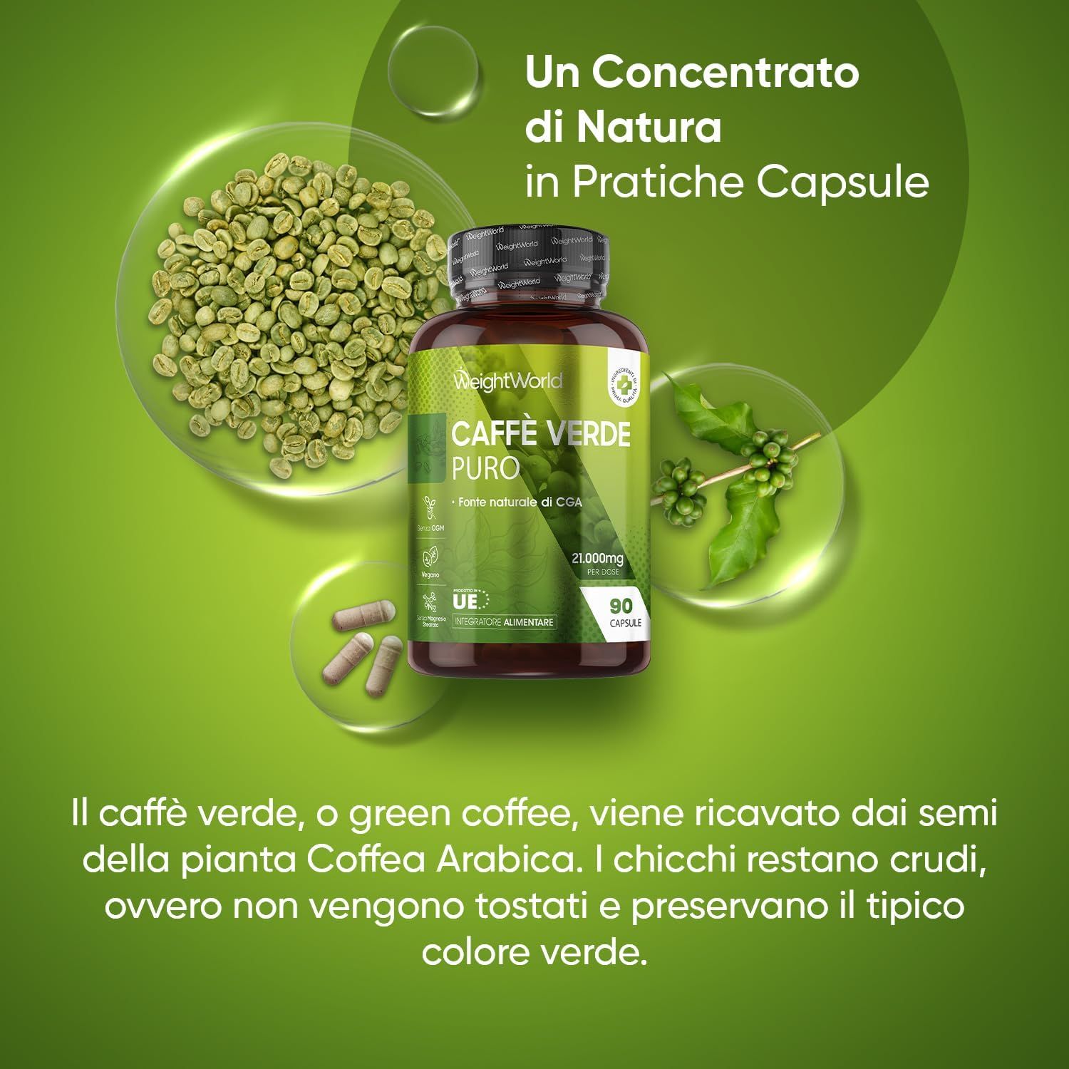Grani di caffè verde e capsule. Flacone WeightWorld Caffè Verde Puro, 21.000mg, 90 capsule. Testo in italiano.