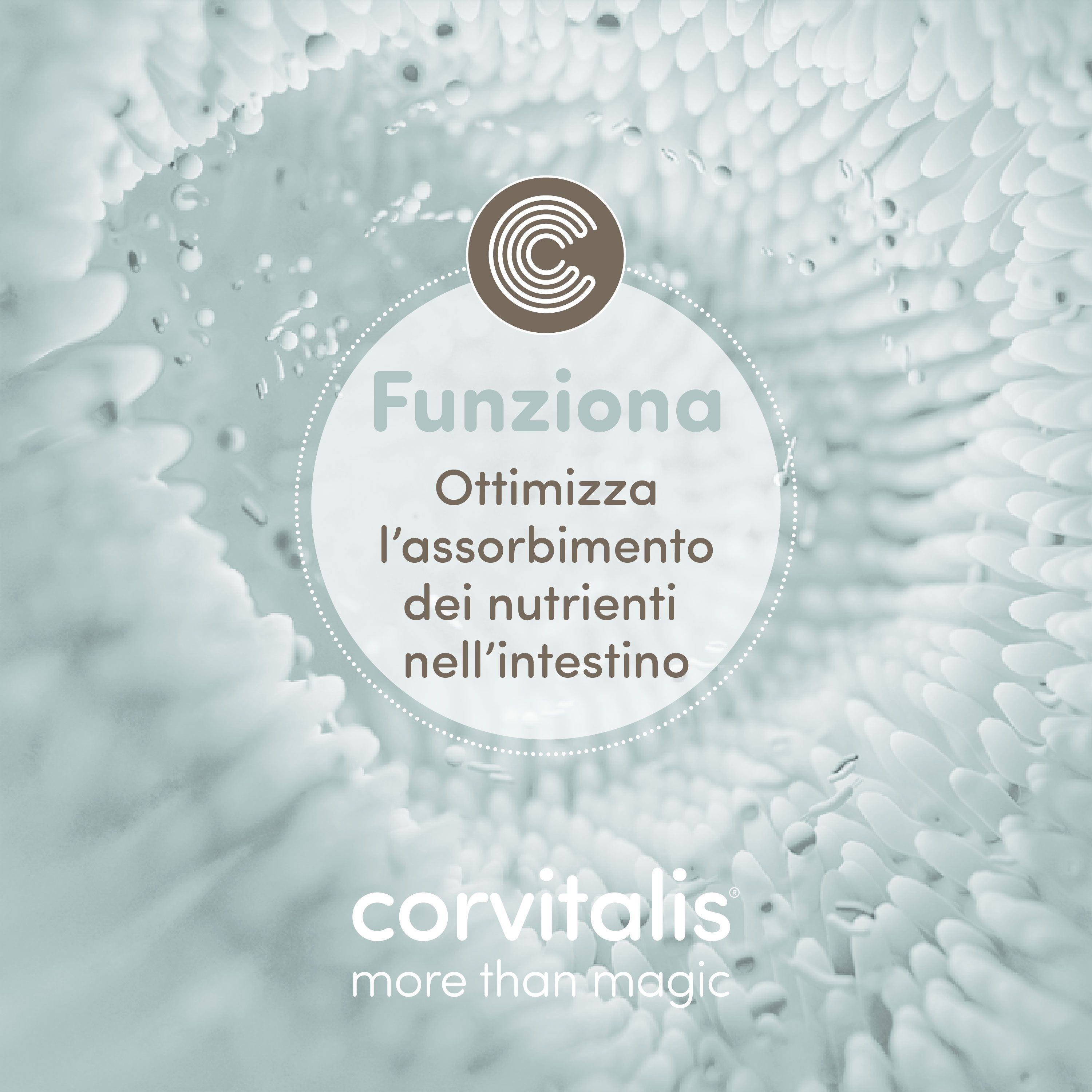 Rappresentazione astratta dell'intestino, che ottimizza l'assorbimento dei nutrienti.
