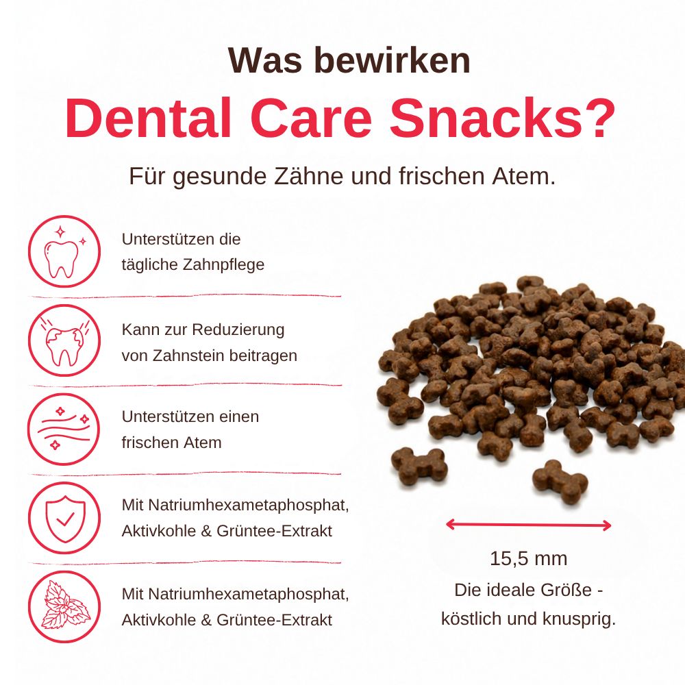 Snack dentali: leccornie per cani, 15,5 mm, per denti sani e alito fresco.