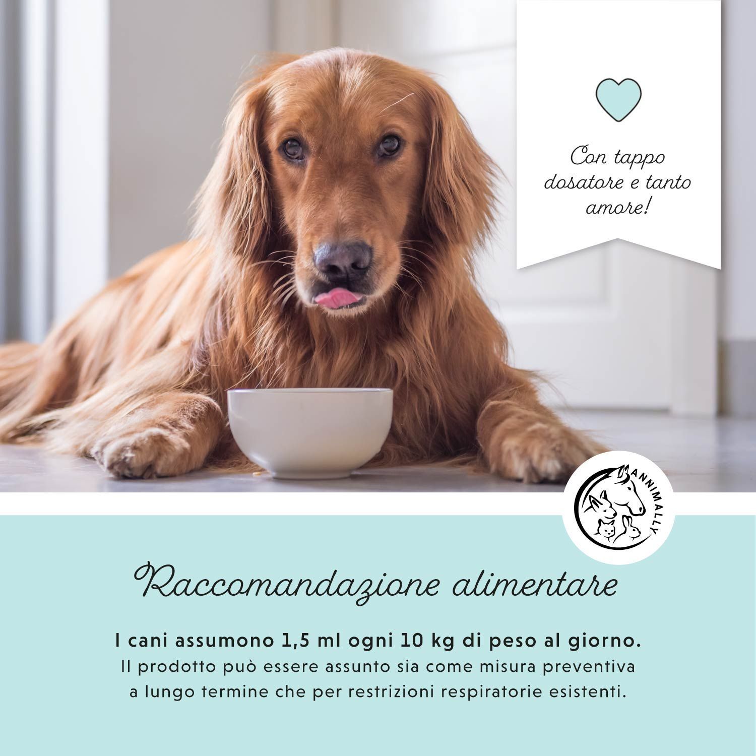 Golden Retriever con una ciotola. Testo: Raccomandazioni alimentari. Logo e testo.