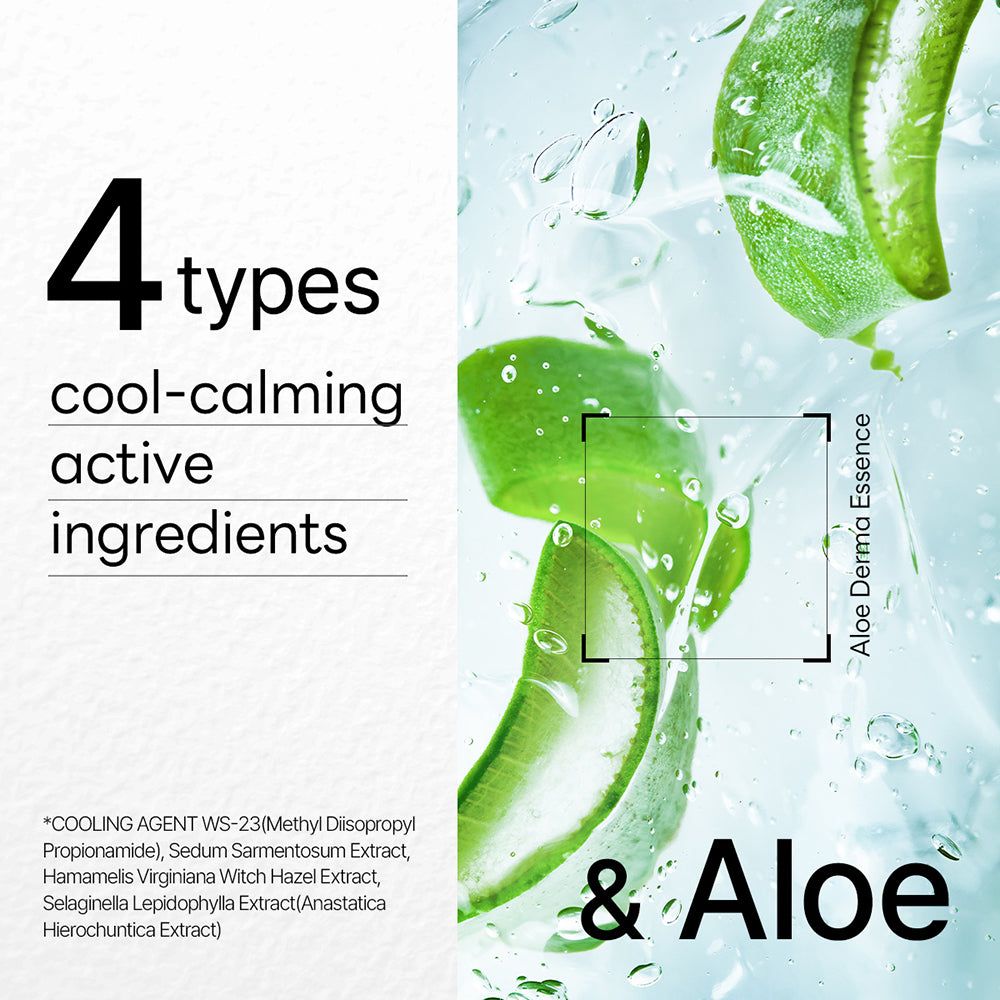 Foglie di aloe e testo "4 types cool-calming active ingredients".