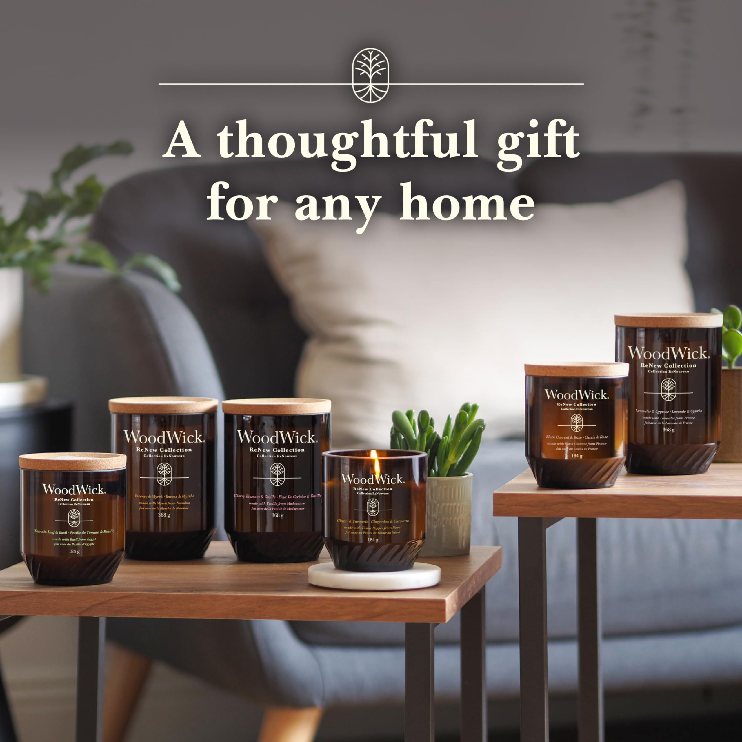 Diverse candele con coperchi in sughero. Scritta: WoodWick. Collocate su tavoli. Una candela accesa.