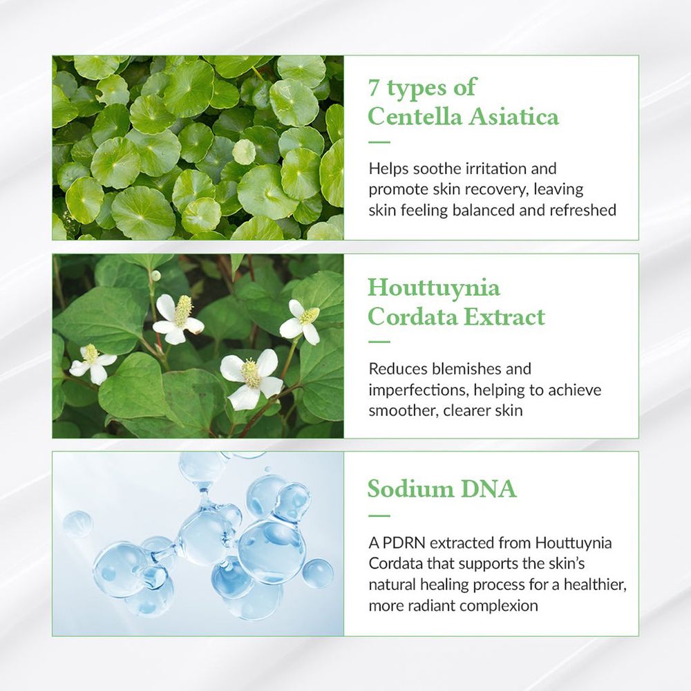Ingredienti della protezione solare: 7 tipi di Centella Asiatica, estratto di Houttuynia Cordata, Sodium DNA.