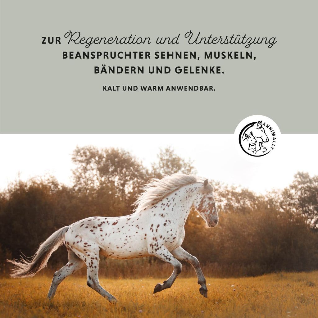 Cavallo bianco che galoppa in un prato. Testo: Per la rigenerazione e il supporto di tendini, muscoli, legamenti e articolazioni sollecitati. Logo: Annimally.