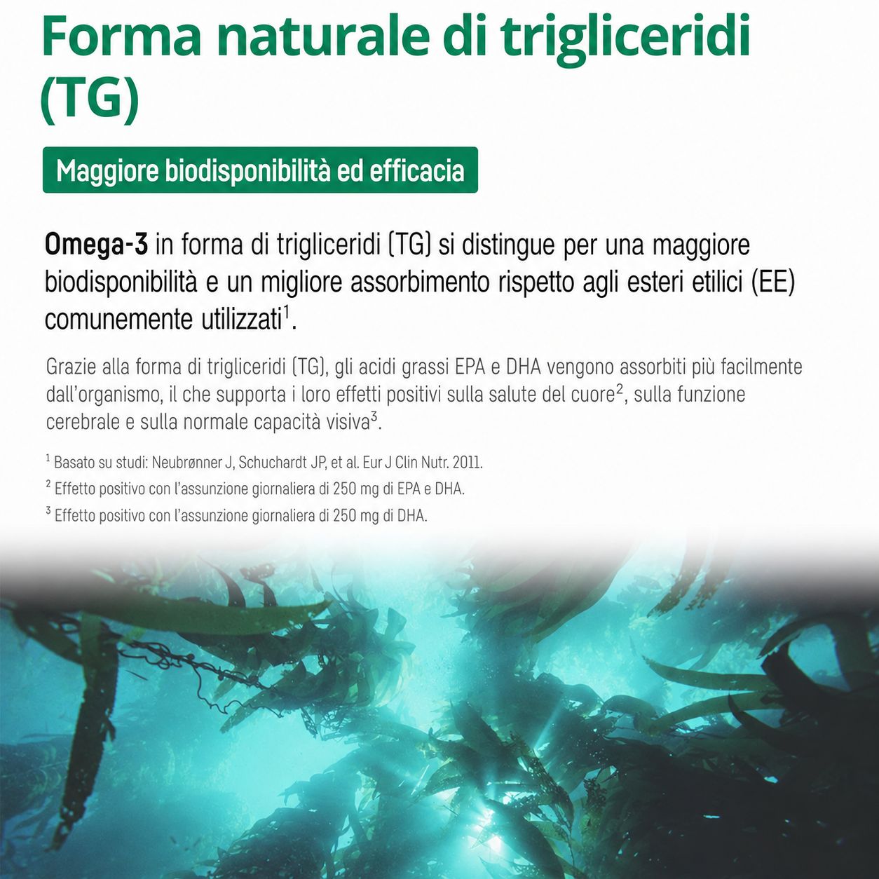 Bio Medical Pharma Capsule Omega 3 Vegan Olio di Alghe