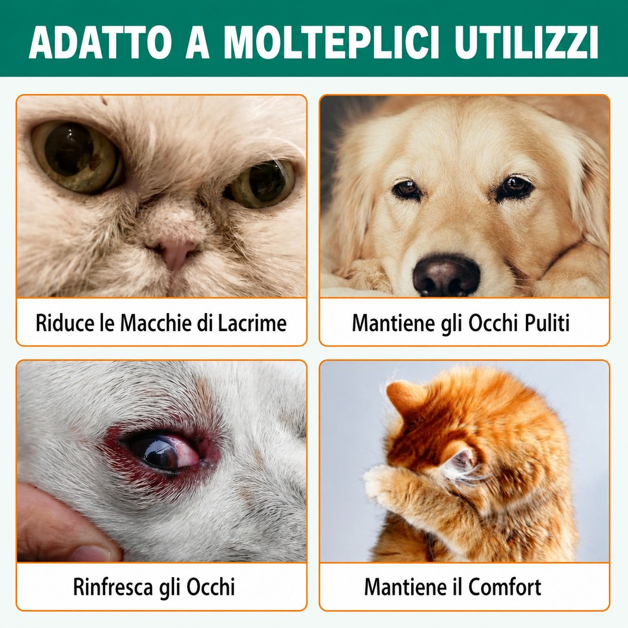 Immagini di occhi di cani e gatti. Riduce le macchie di lacrime, mantiene gli occhi puliti, rinfresca gli occhi, mantiene il comfort.