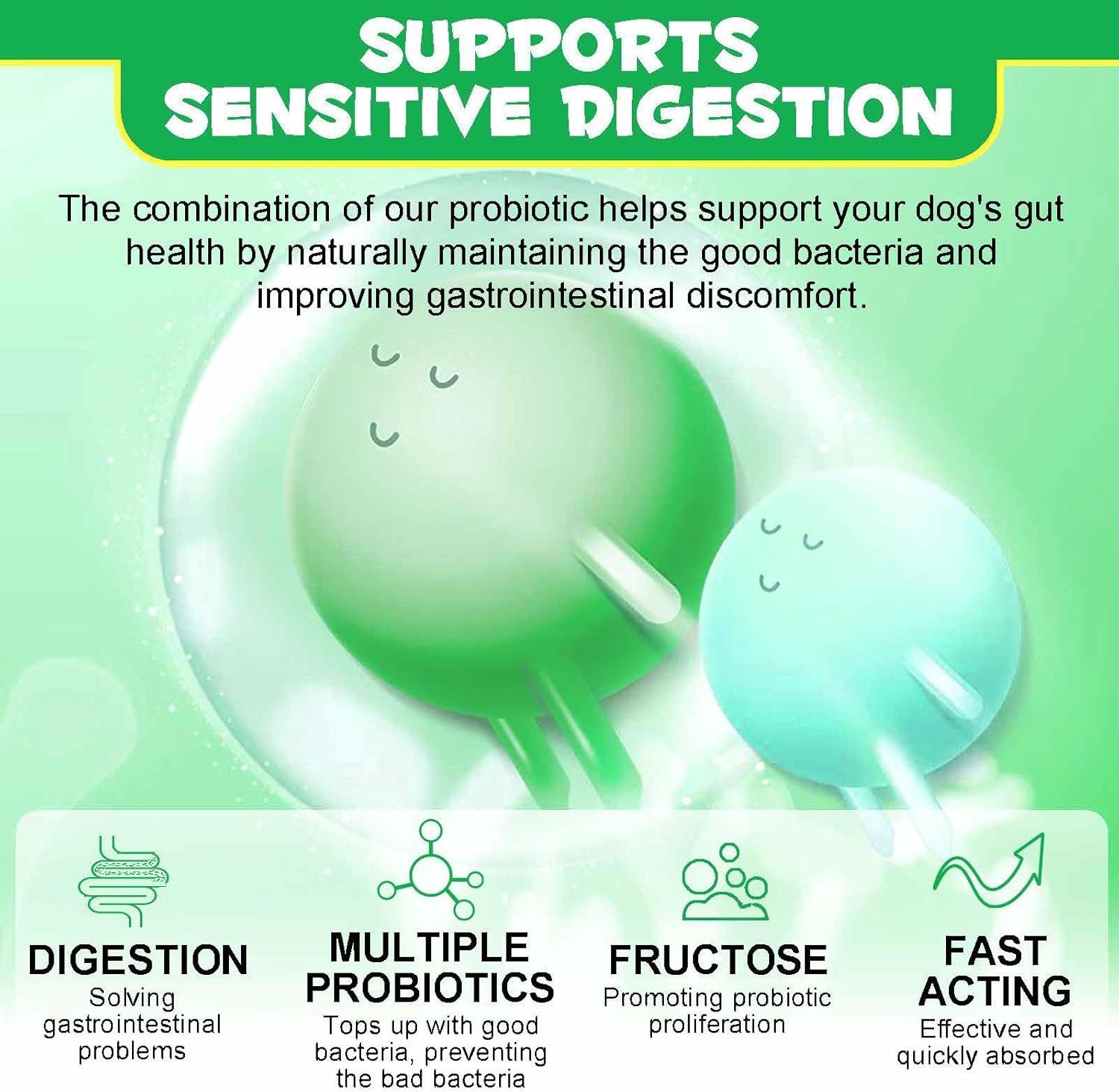 Due cerchi verdi con testo: Supporta la digestione sensibile. Diagrammi: Digestione, probiotici, fruttosio, azione rapida.