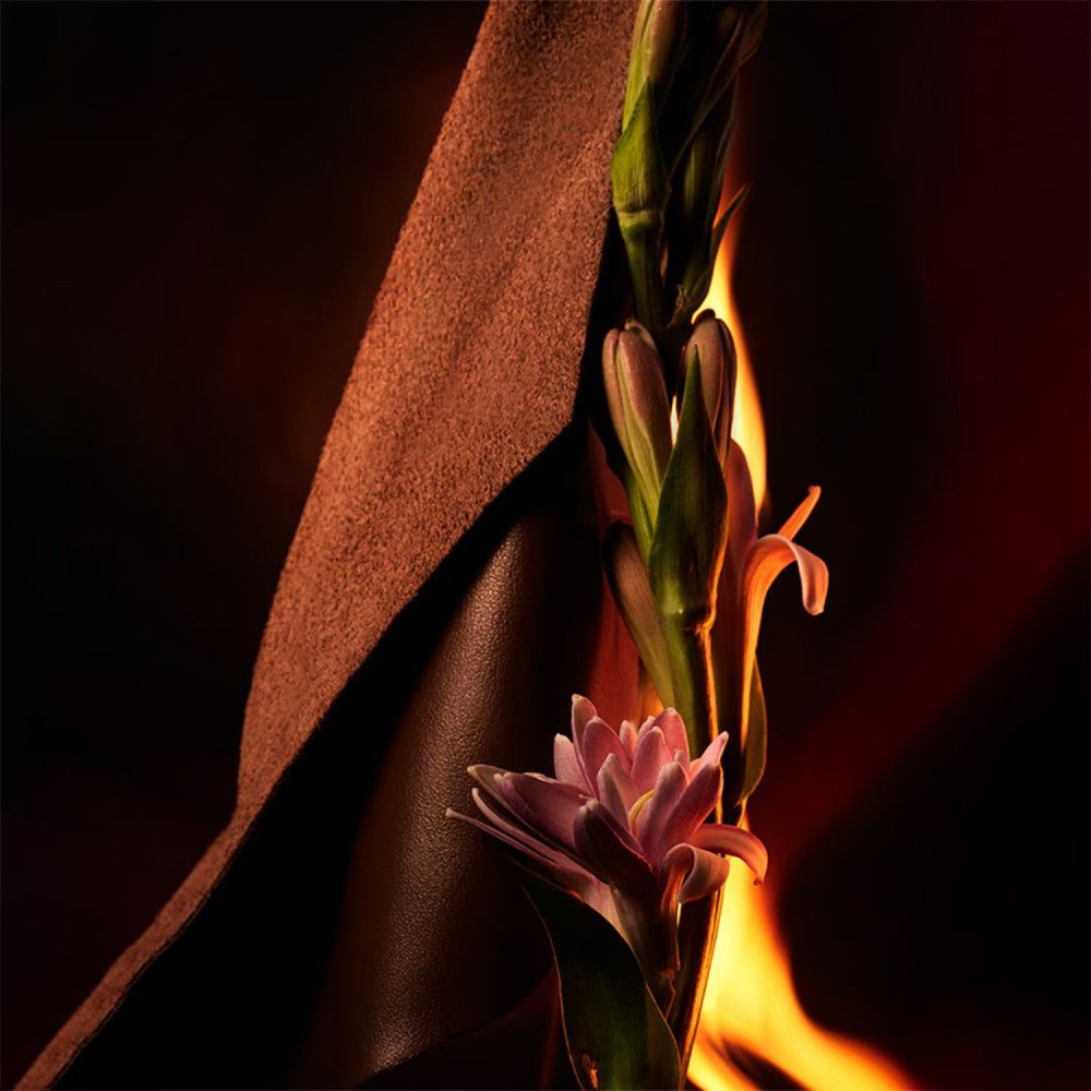 Uno strato di pelle marrone accanto a una pianta in fiore con fiamme sullo sfondo.