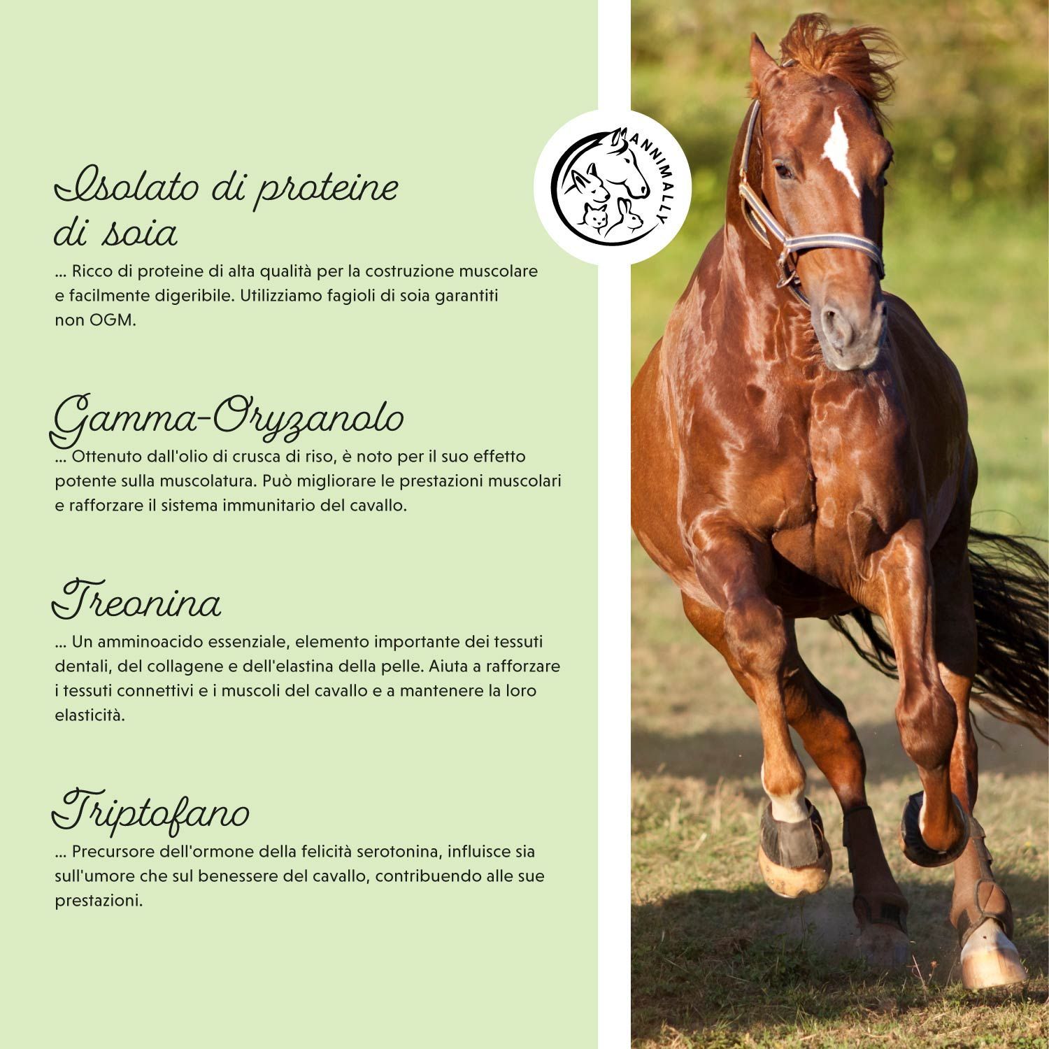 Cavallo che corre. Testo: Isolato di proteine di soia, Gamma-Oryzanol, Treonina, Triptofano. Aminoacidi.