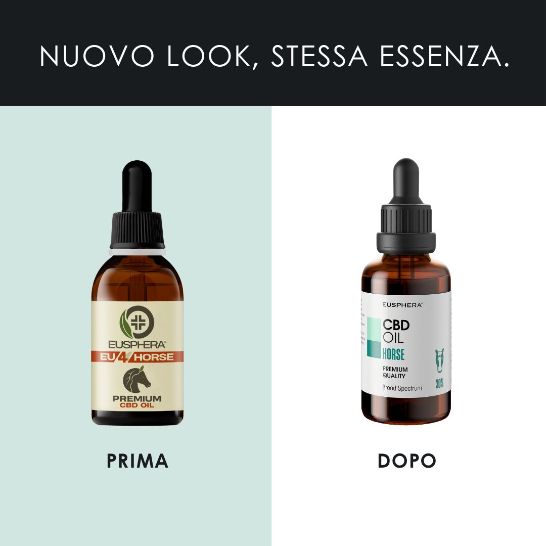 Testa di cavallo con testo. CBD Oil Horse. Stress, ansia, problemi osteo-muscolari.