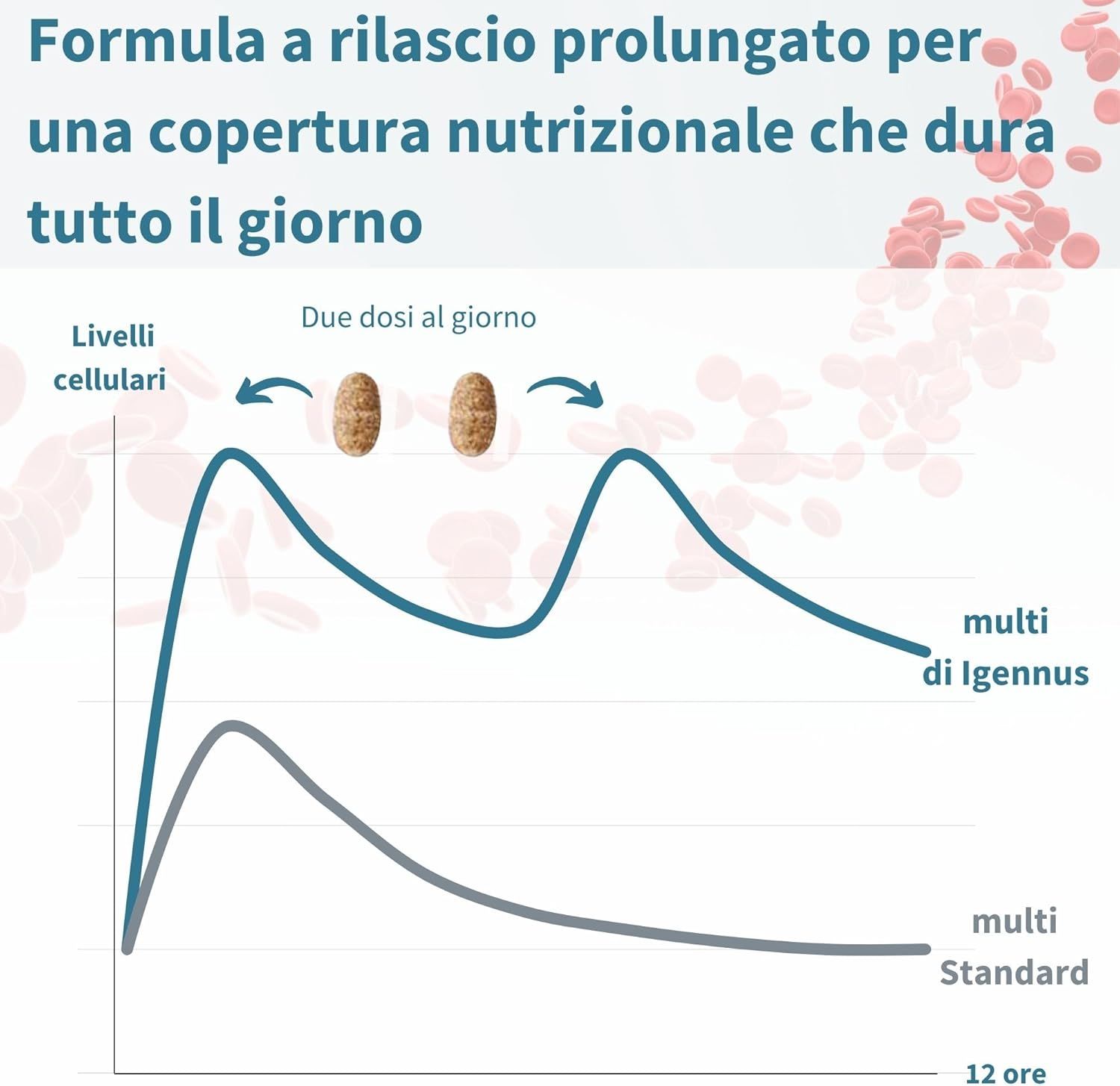 Diagramma con due curve. Testo: Rilascio prolungato per una copertura nutrizionale che dura tutto il giorno. 12 ore.