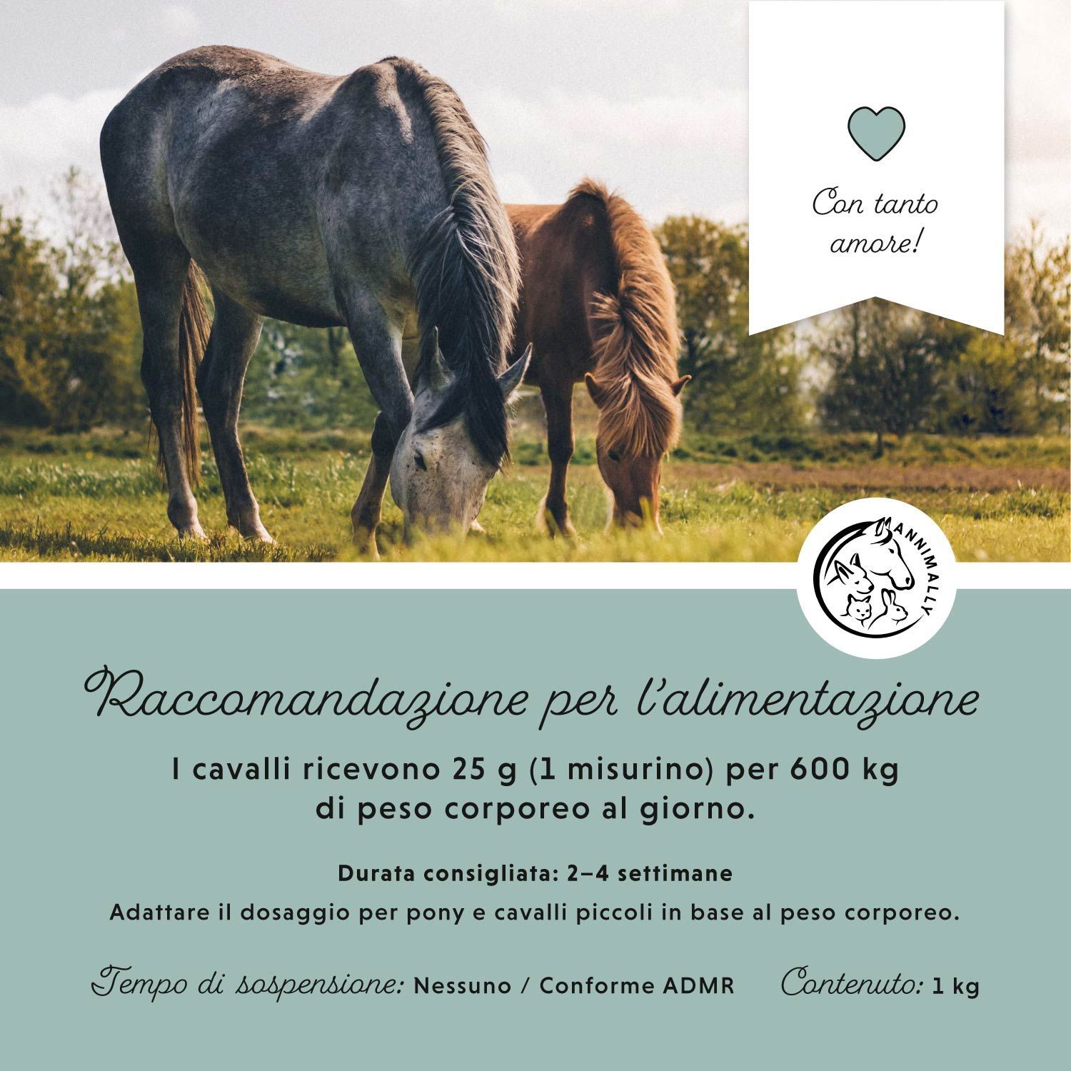 Due cavalli pascolano in un prato. Campo di testo con testo sulle raccomandazioni alimentari. Logo con cavallo e coniglio.