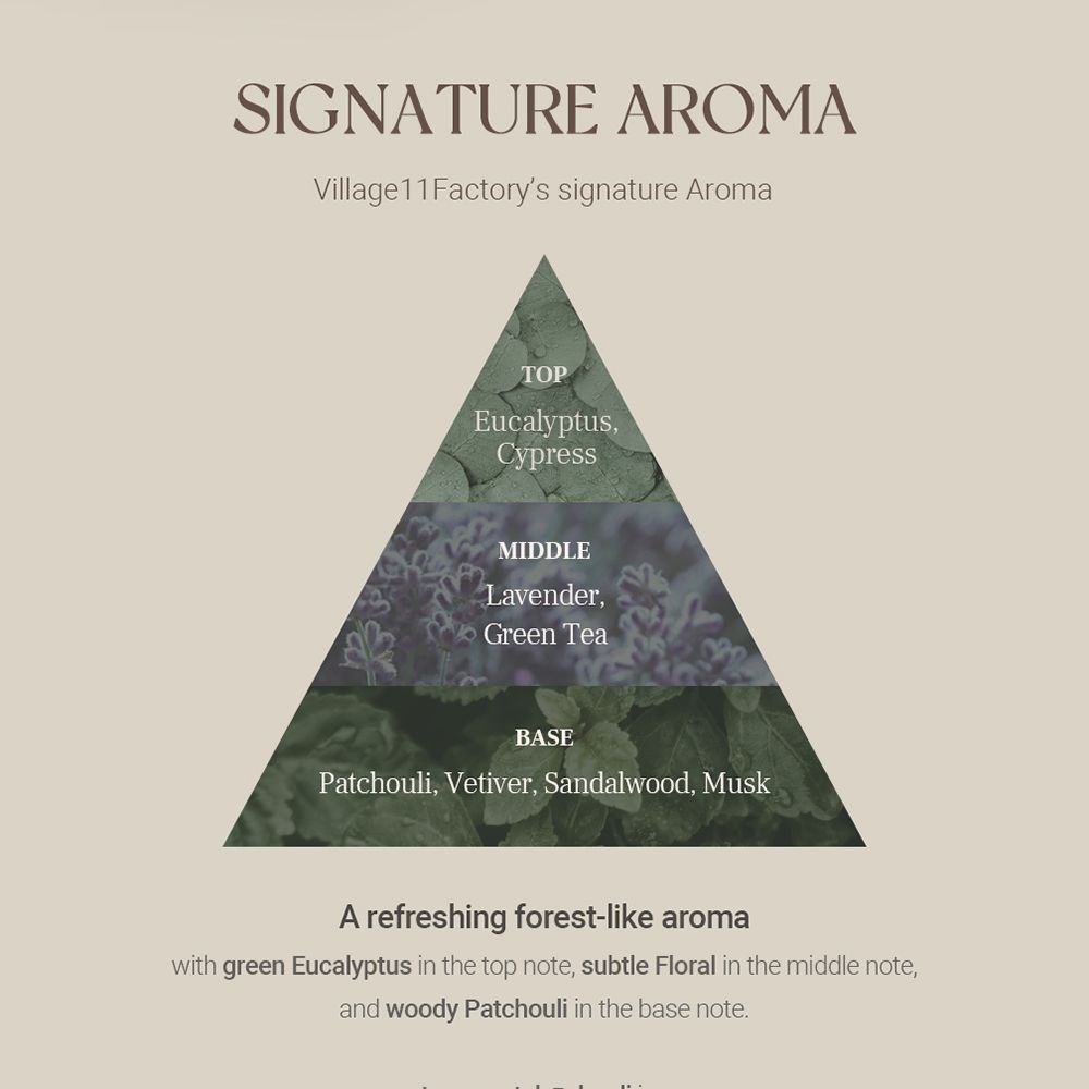 Diagramma delle note olfattive. Testo: Aroma distintivo. Piramide con note di eucalipto, cipresso, lavanda, tè verde, patchouli, vetiver, legno di sandalo, muschio.