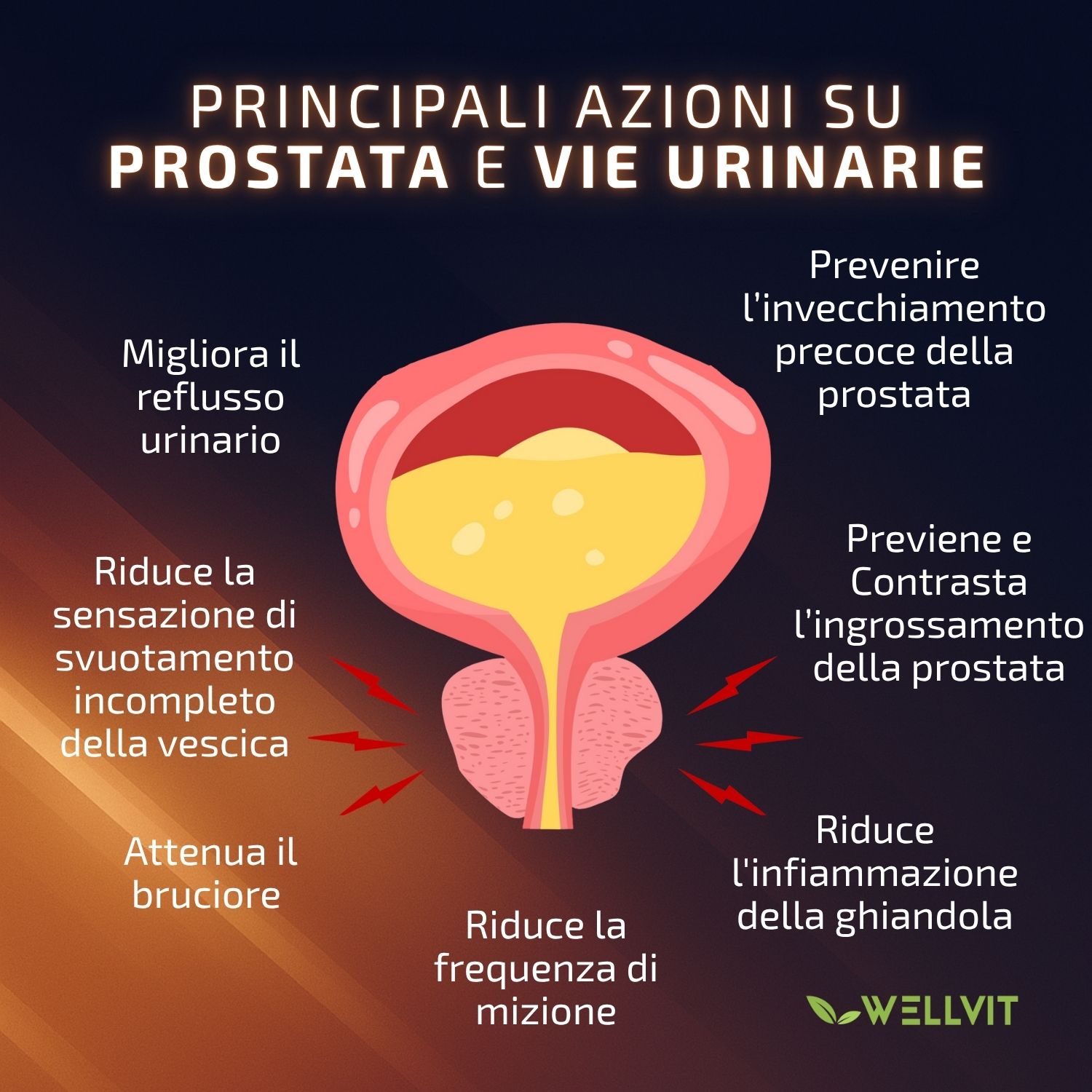 Wellvit | Integratore per la Prostata e Vie Urinariecon Teupol 10