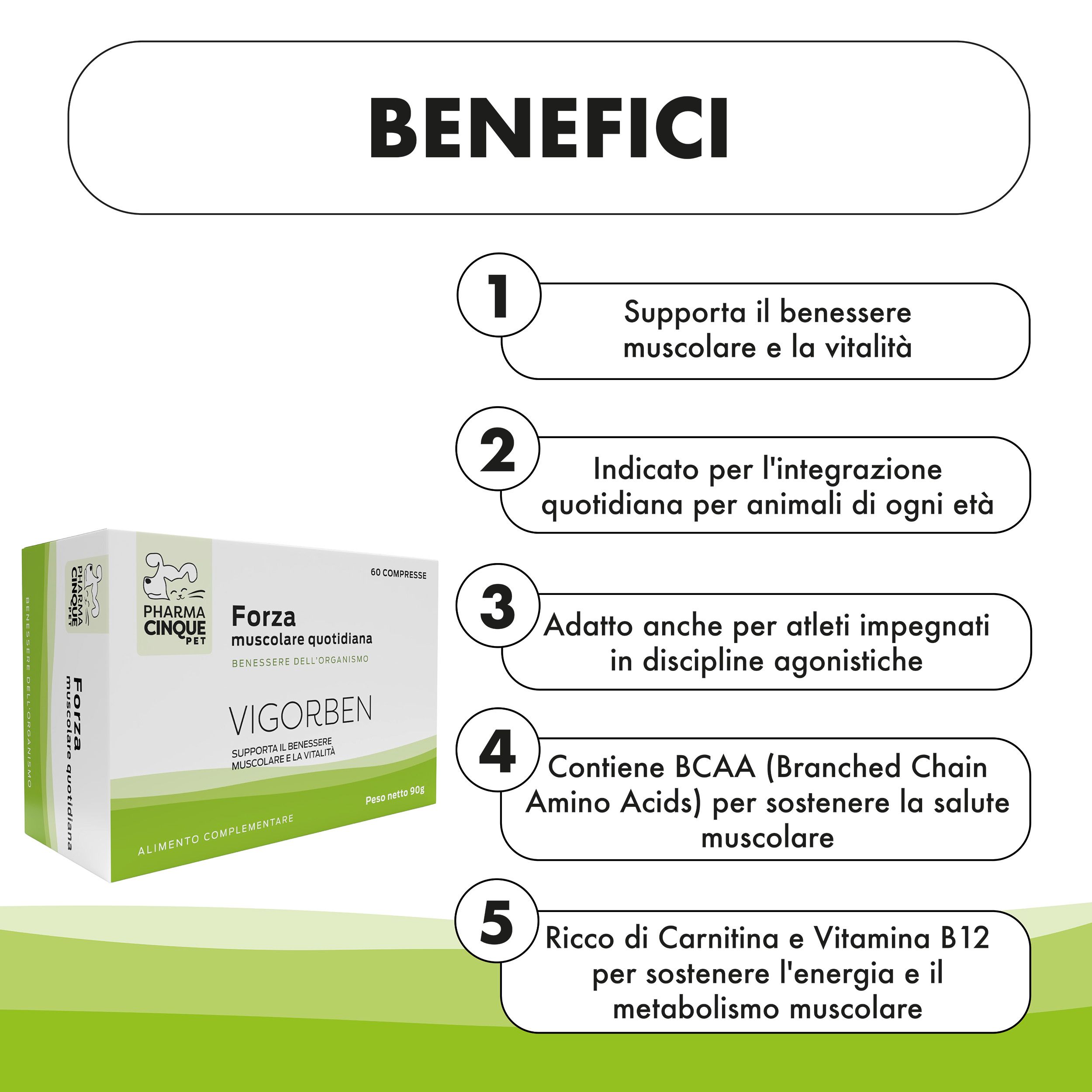 Benefici di VIGORBEN. 5 punti: supporto muscolare, integrazione quotidiana, per atleti, BCAA, carnitina e vitamina B12.