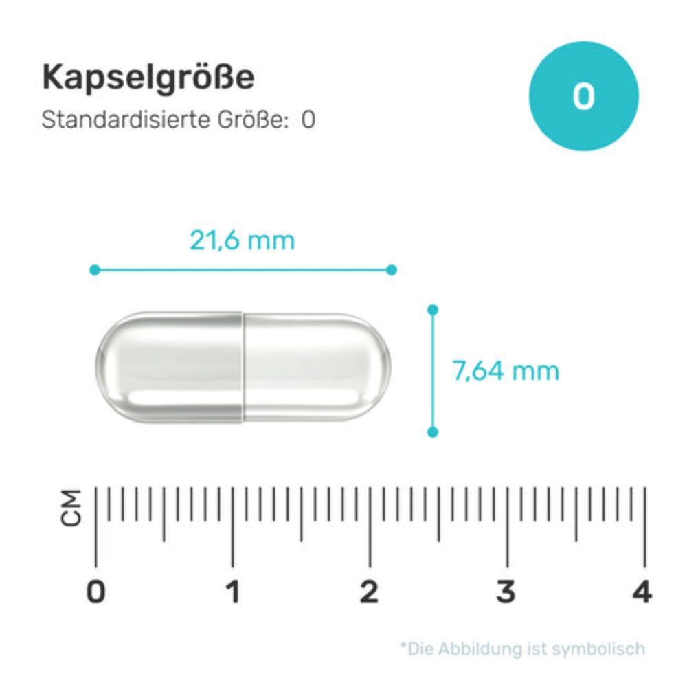 Capsula trasparente, con misure: 21,6 mm di lunghezza, 7,64 mm di diametro. Scala in cm.
