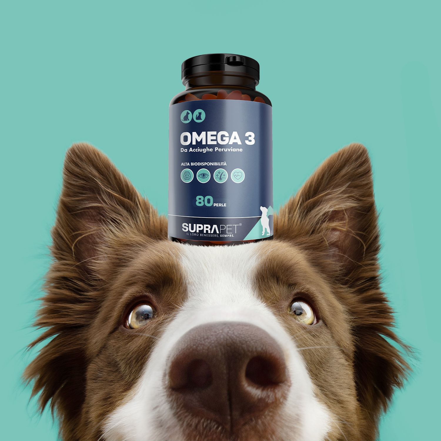 Flacone blu scuro con scritte 'OMEGA 3' e 'SUPRAPET', 80 capsule.