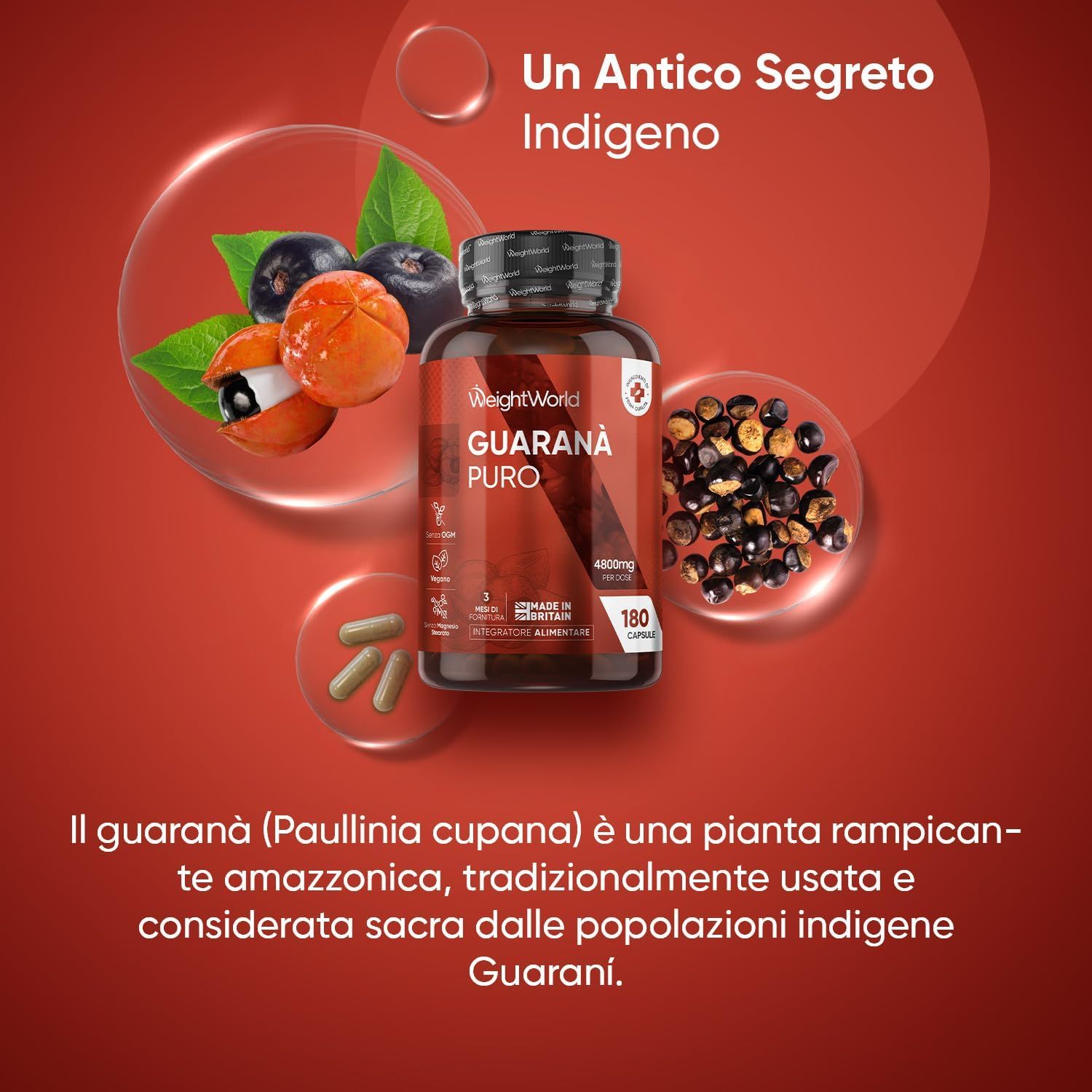 Flacone di Guaraná Puro con frutta e semi. 180 capsule. 4800mg per dose. Testo.
