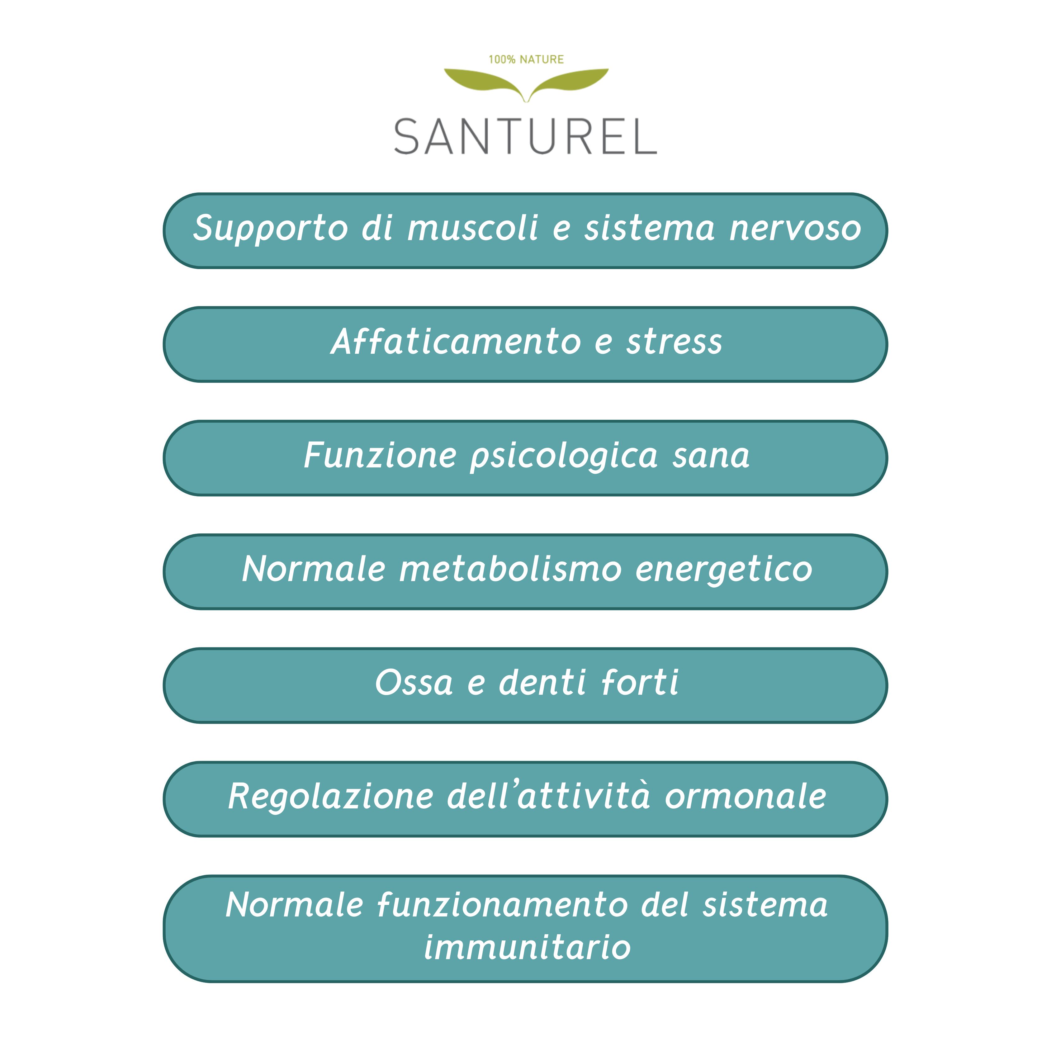 Campi di testo verde-blu con descrizioni italiane. Temi: muscoli, sistema nervoso, affaticamento, stress, funzione psicologica, metabolismo, ossa, denti.