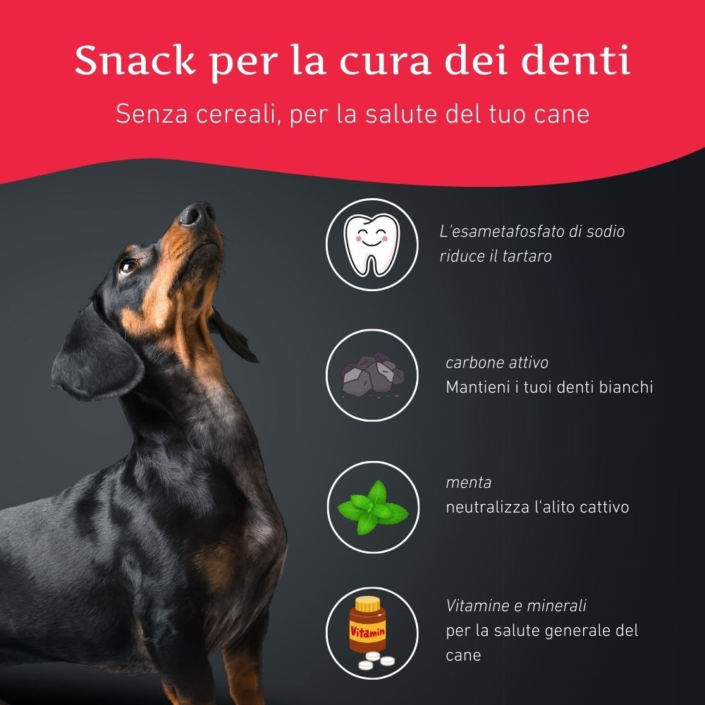 Cane che guarda in alto. Grafici mostrano ingredienti: esametafosfato di sodio, carbone attivo, menta, vitamine.