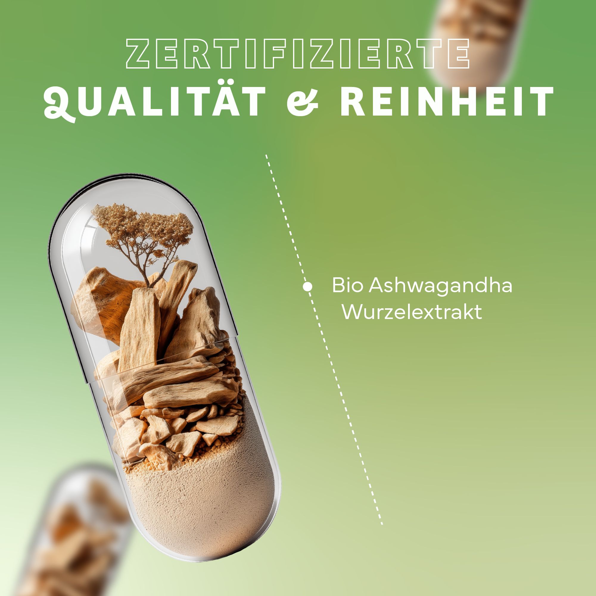 Capsula trasparente con contenuto: estratto di radice. Testo: Bio Ashwagandha Wurzelextrakt. Sfondo: verde chiaro.