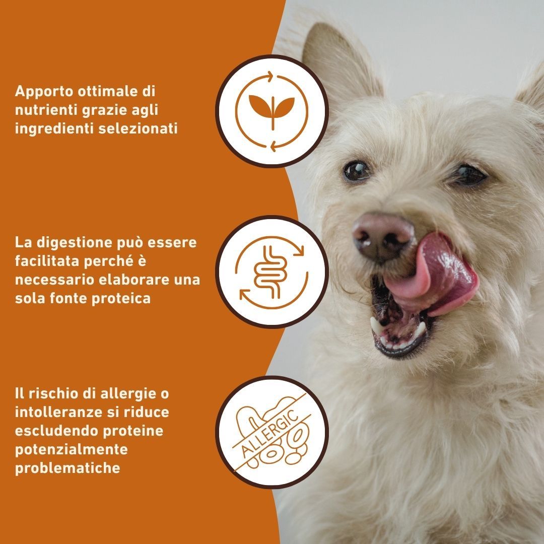 Wildfang - Junior Gourmet Box - Cibo secco e umido