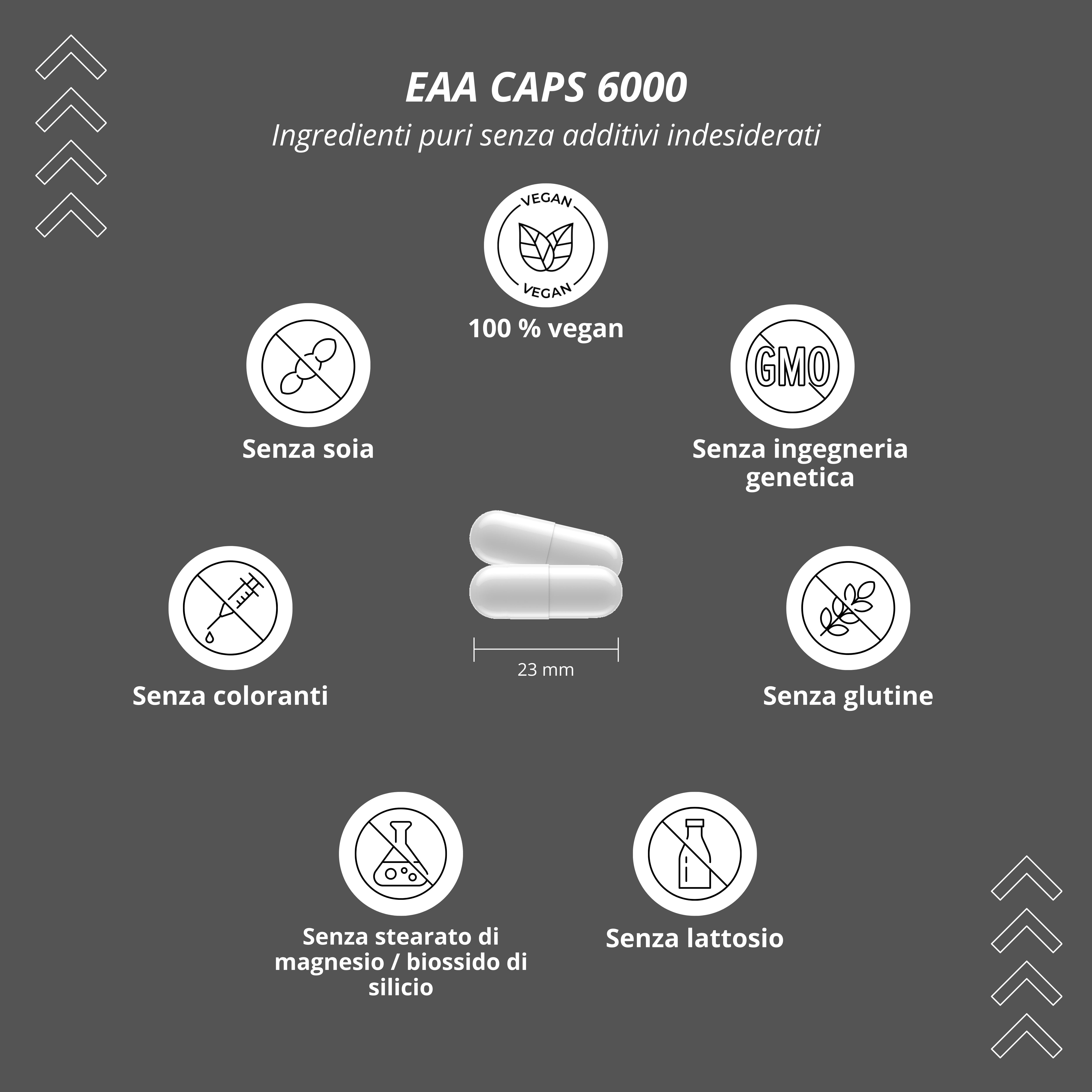 Grafica con simboli: vegano, 100% vegano, senza soia, senza coloranti, senza OGM, senza glutine, senza stearato di magnesio, senza lattosio.