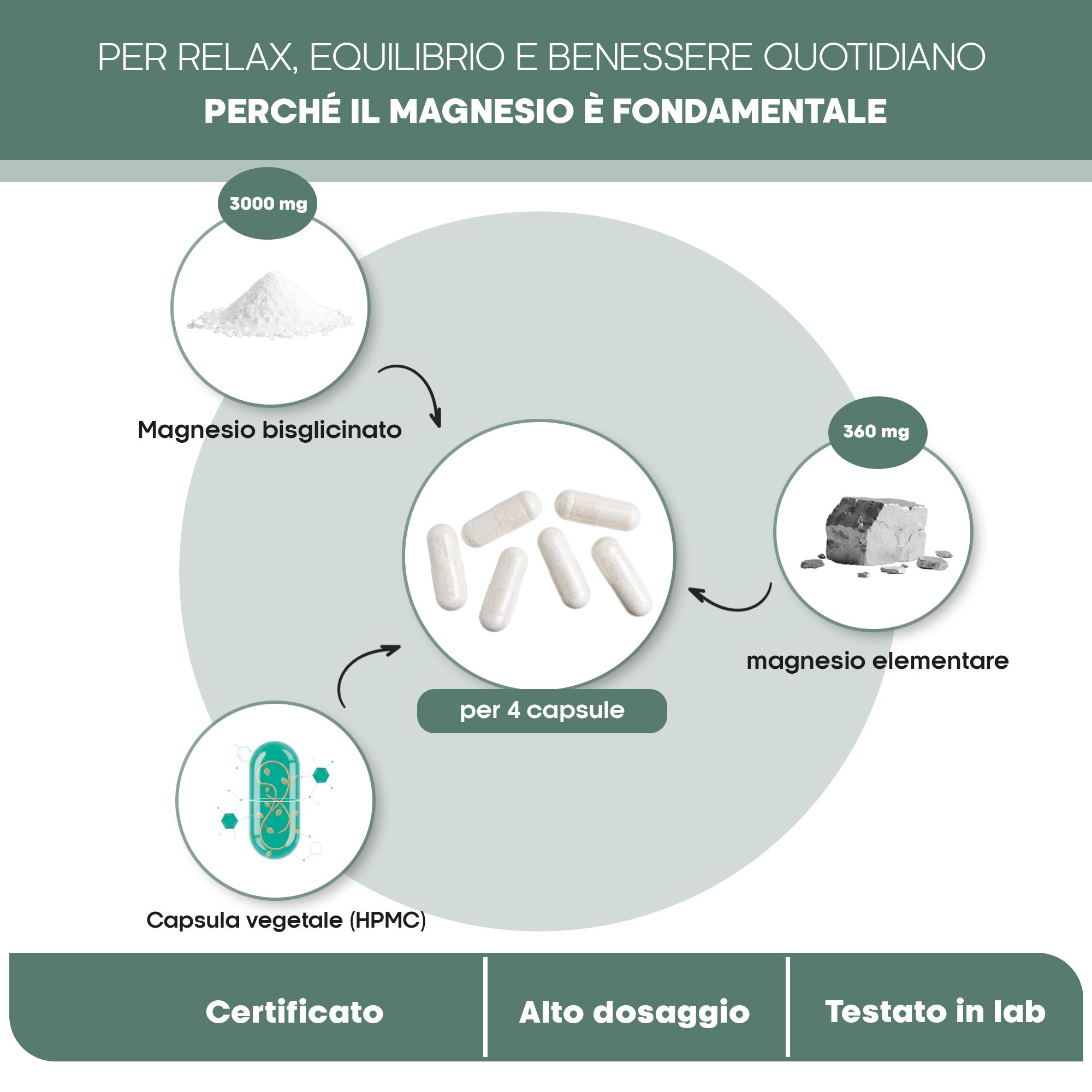 Infografica sul bisglicinato di magnesio per relax e benessere, con rappresentazioni di polvere e elementi di magnesio.