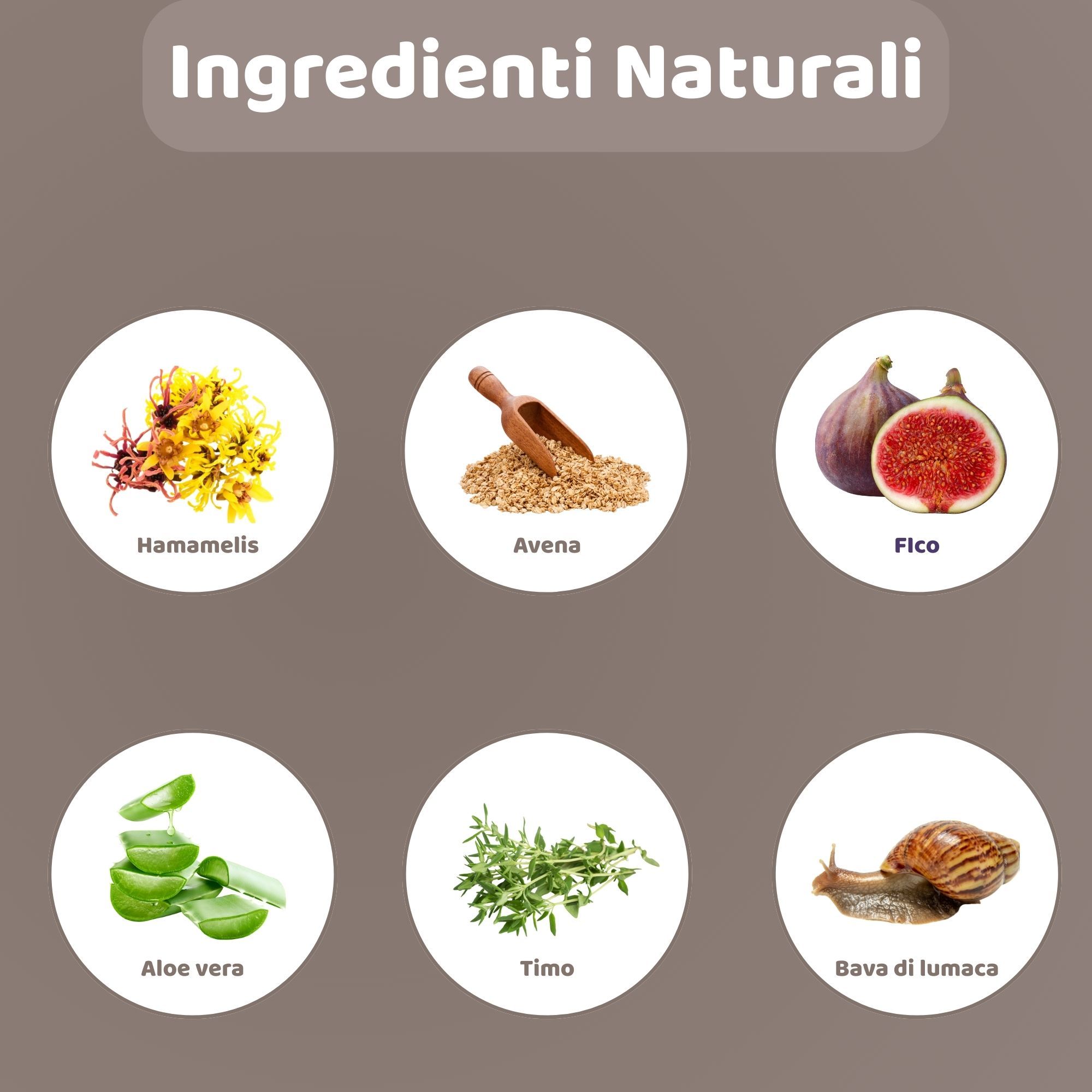 Illustrazioni circolari degli ingredienti: Amamelide, Avena, Fico, Aloe Vera, Timo, Bava di lumaca.