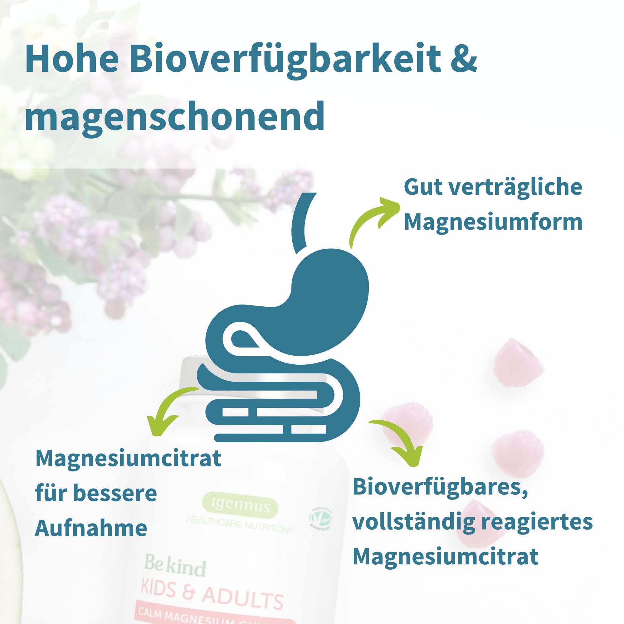 Grafica di stomaco e intestino con testo su alta biodisponibilità e forma di magnesio delicata sullo stomaco.