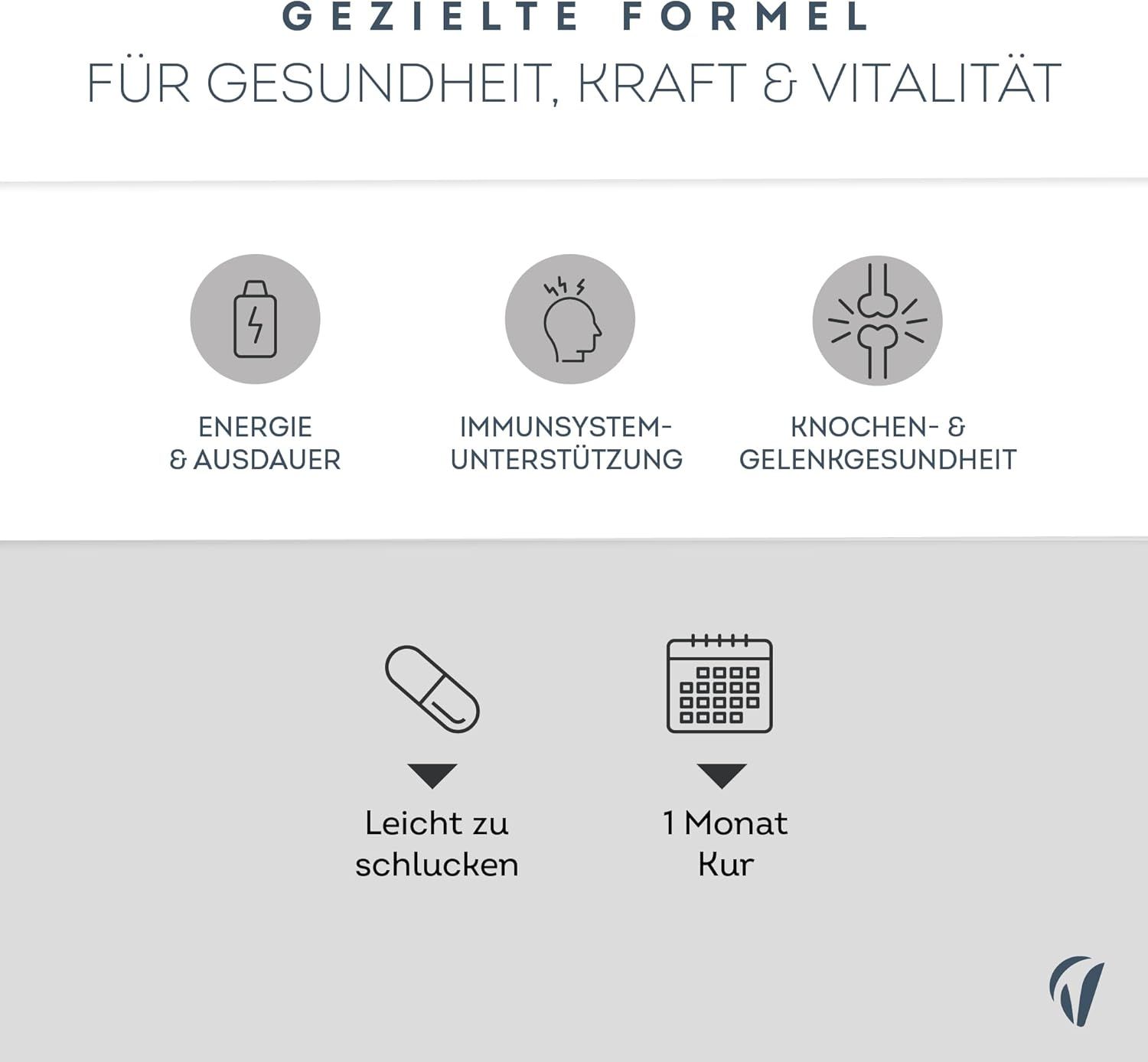 Grafica con simboli per energia, sistema immunitario e salute delle ossa. Simbolo di capsula e calendario.