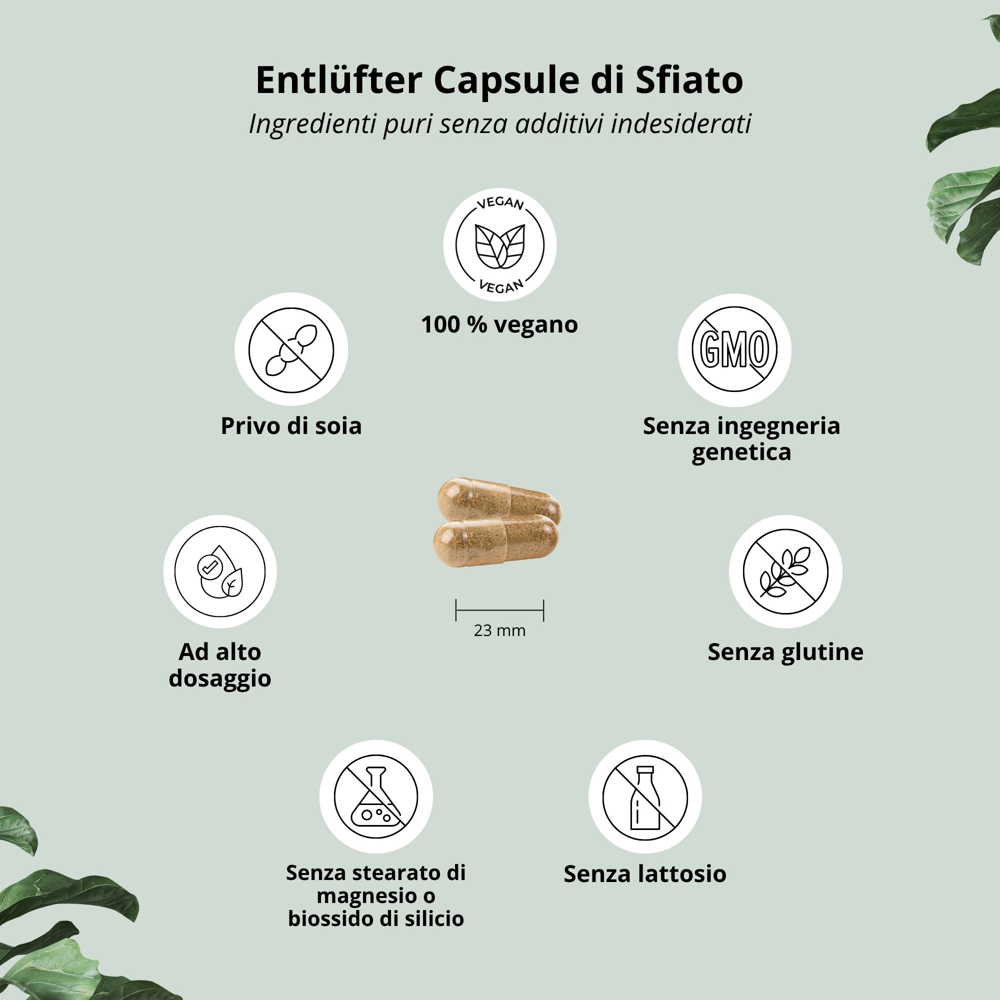 Due capsule. Scritta: 23 mm. Sigilli: vegano, senza OGM, senza glutine, senza lattosio.