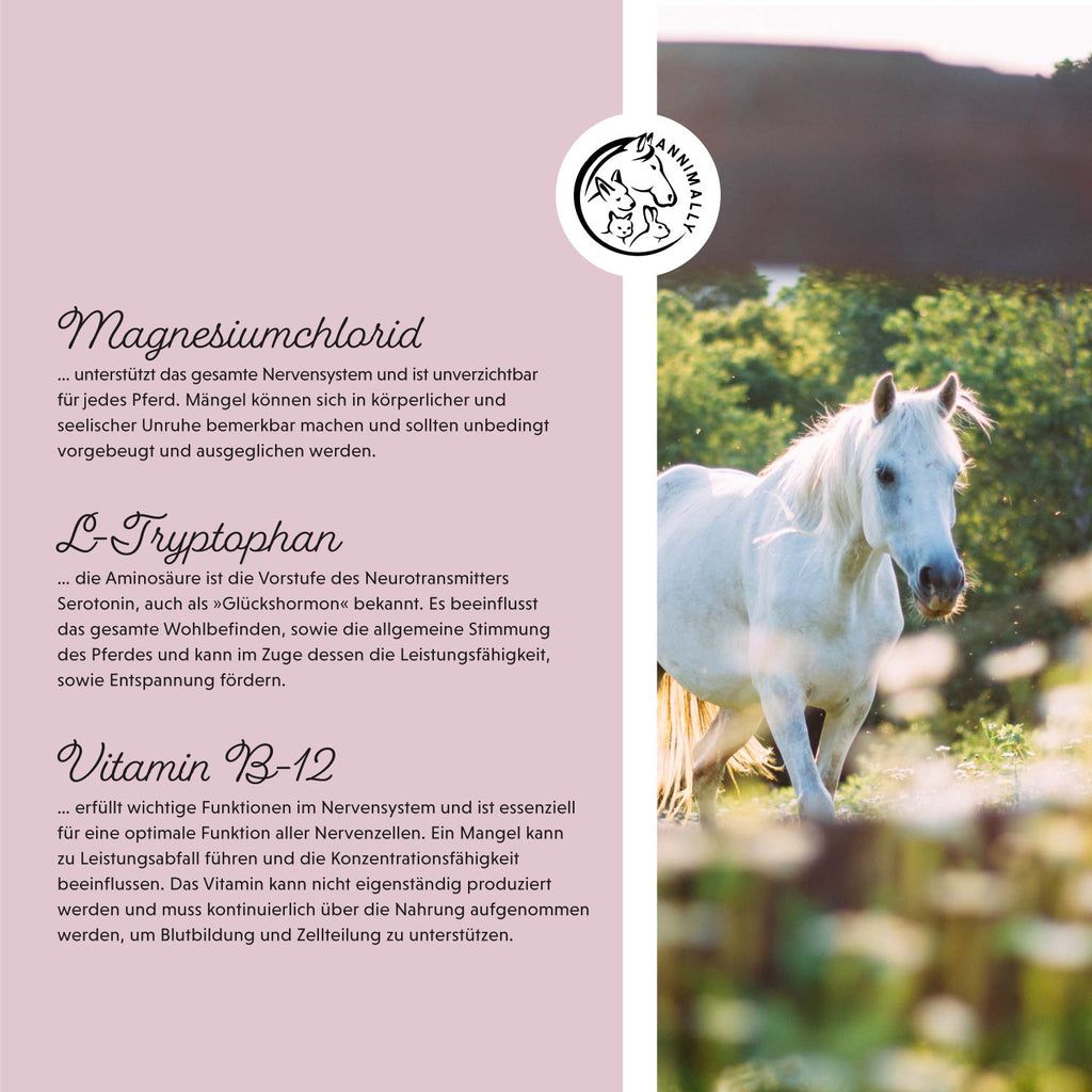 Pagina rosa con testo su cloruro di magnesio, L-triptofano e vitamina B12. Logo con illustrazioni di animali. Cavallo bianco.