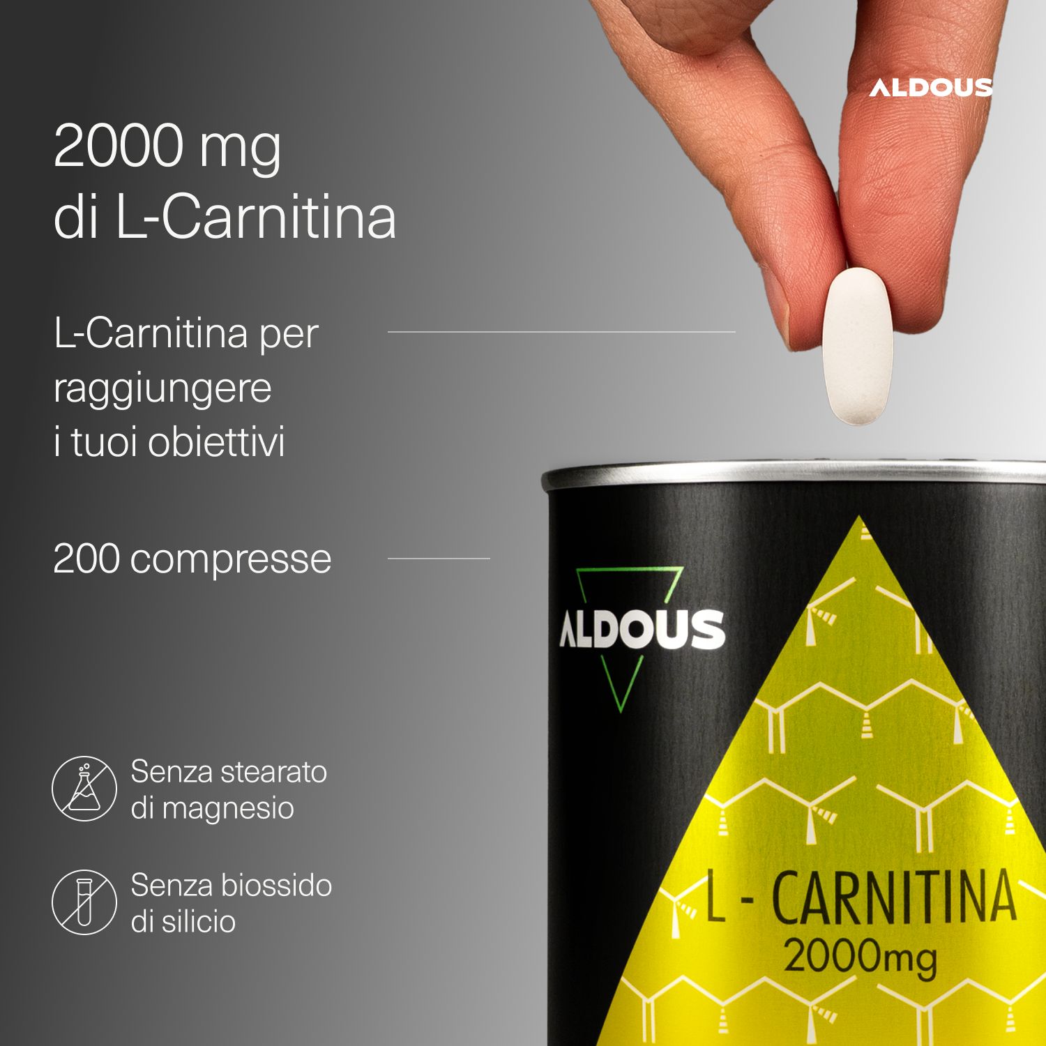 Aldous - L Carnitina - Energia, Recupero