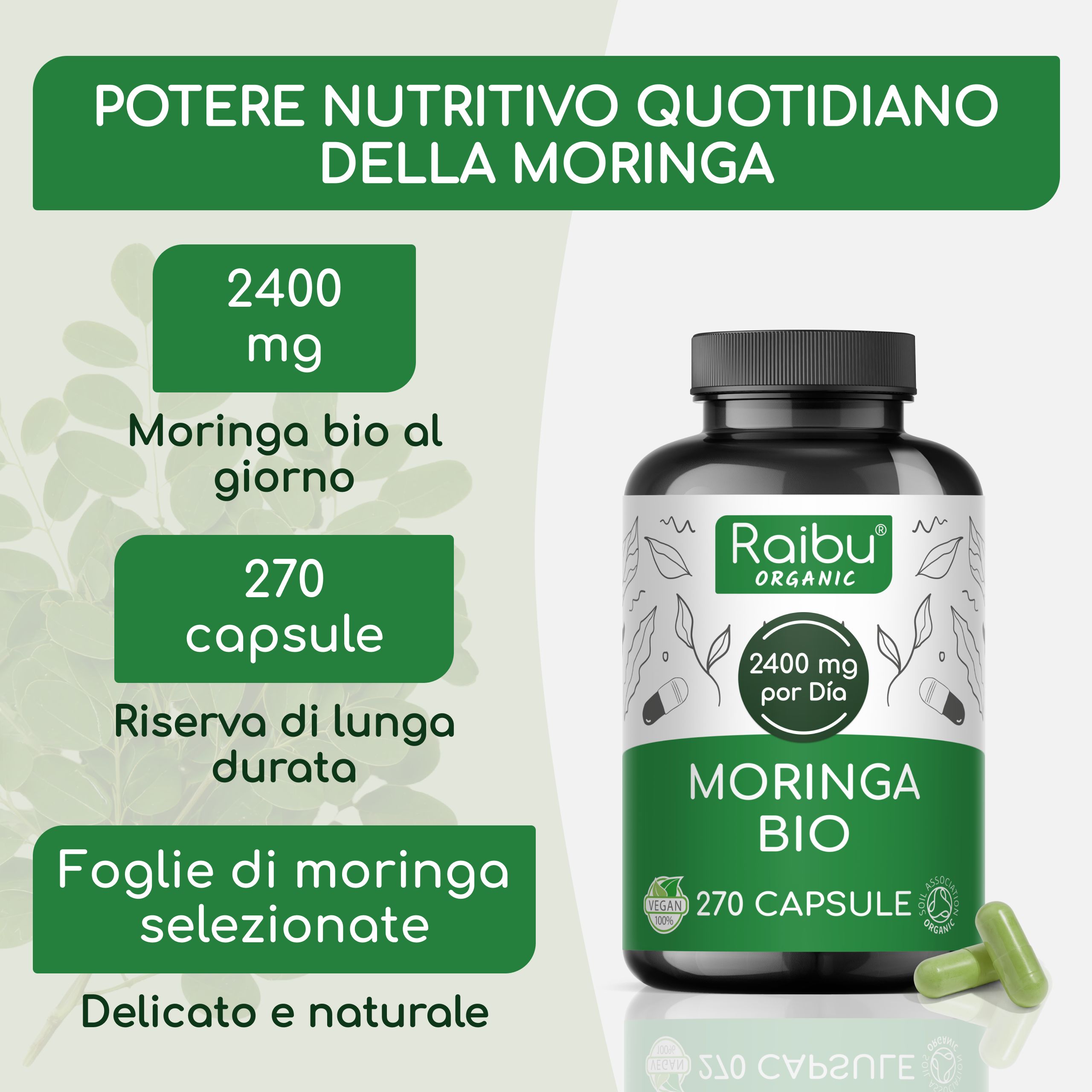 Moringa Capsule BIO, 2400 mg per Dose - Fonte di Vitamine, Minerali e Proteine - RAIBU