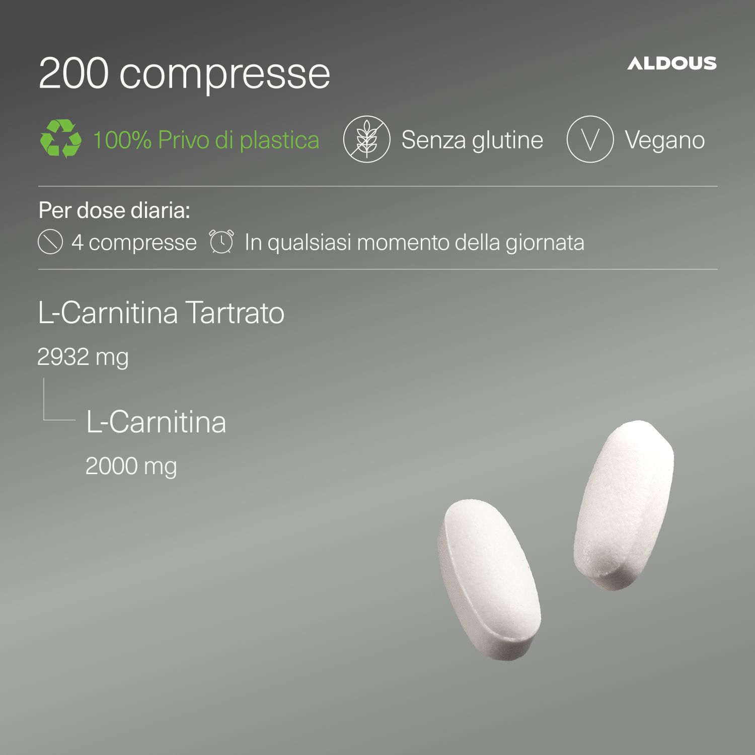 Aldous - L Carnitina - Energia, Recupero